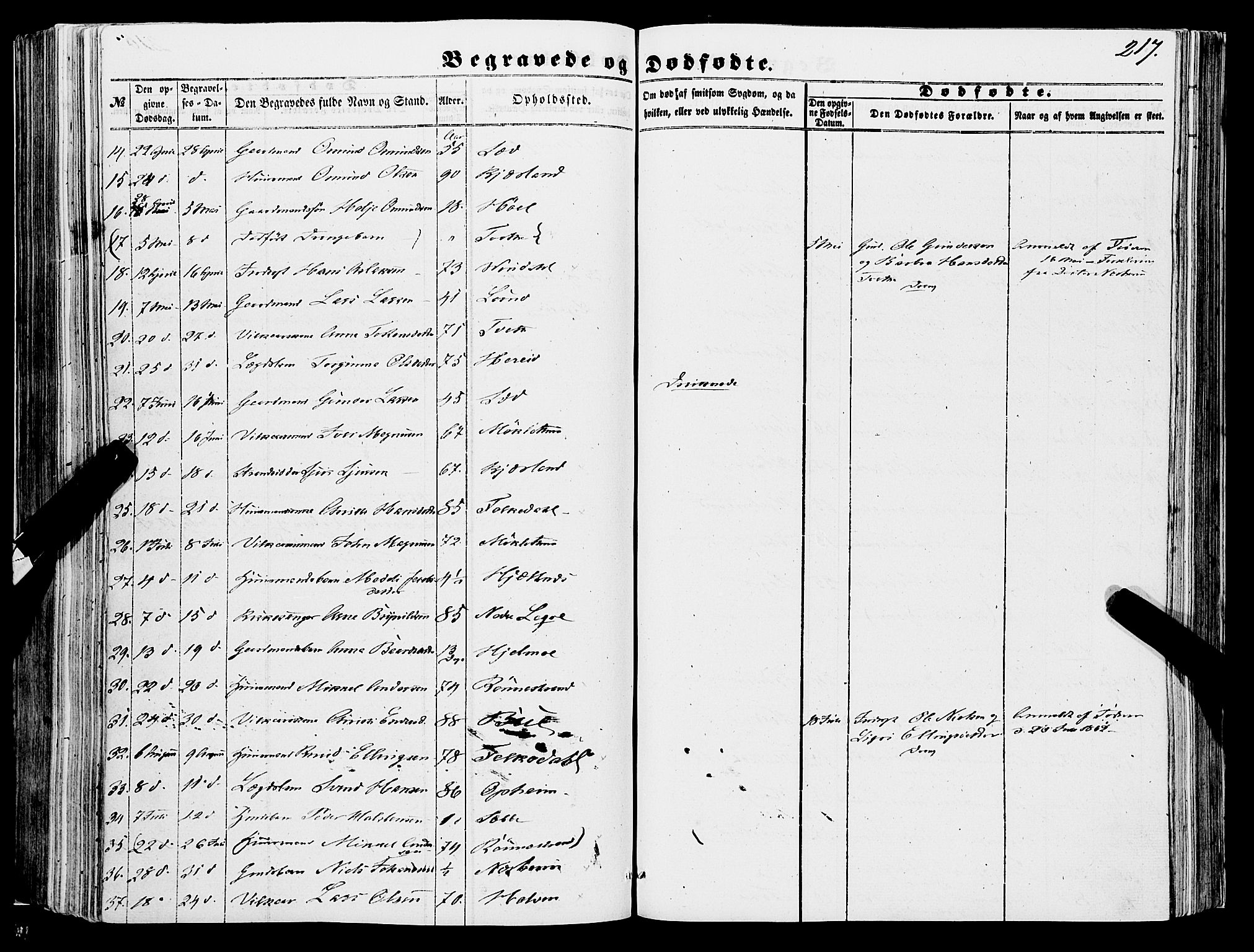 Ulvik sokneprestembete, SAB/A-78801/H/Haa: Parish register (official) no. A 13, 1853-1863, p. 217