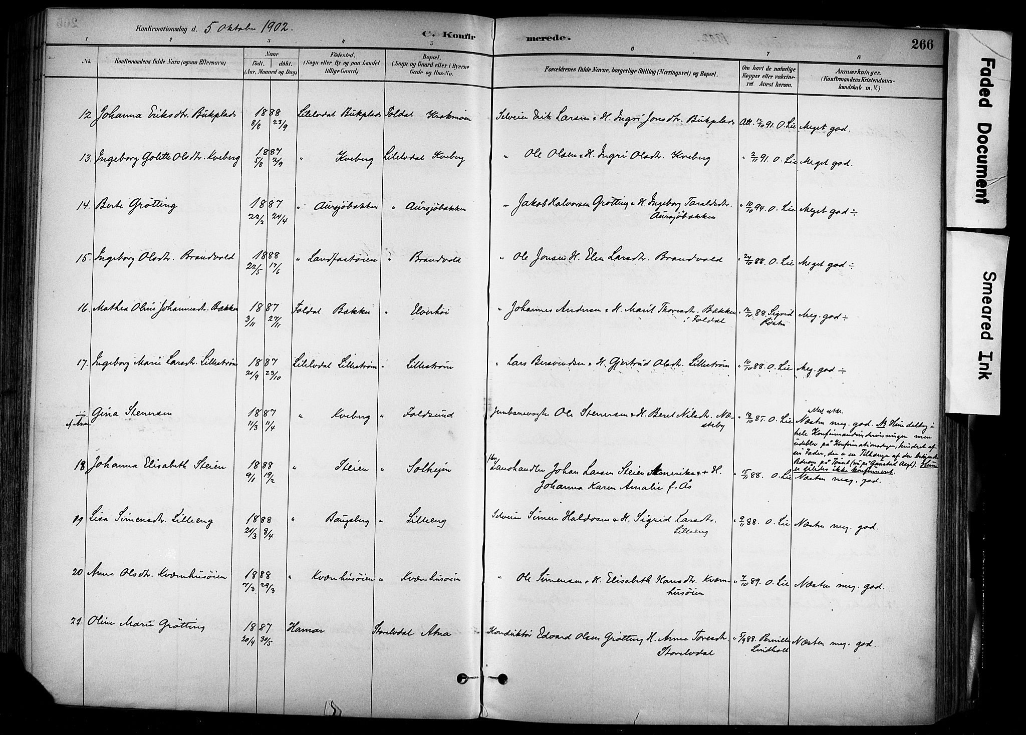 Alvdal prestekontor, AV/SAH-PREST-060/H/Ha/Haa/L0002: Parish register (official) no. 2, 1883-1906, p. 266