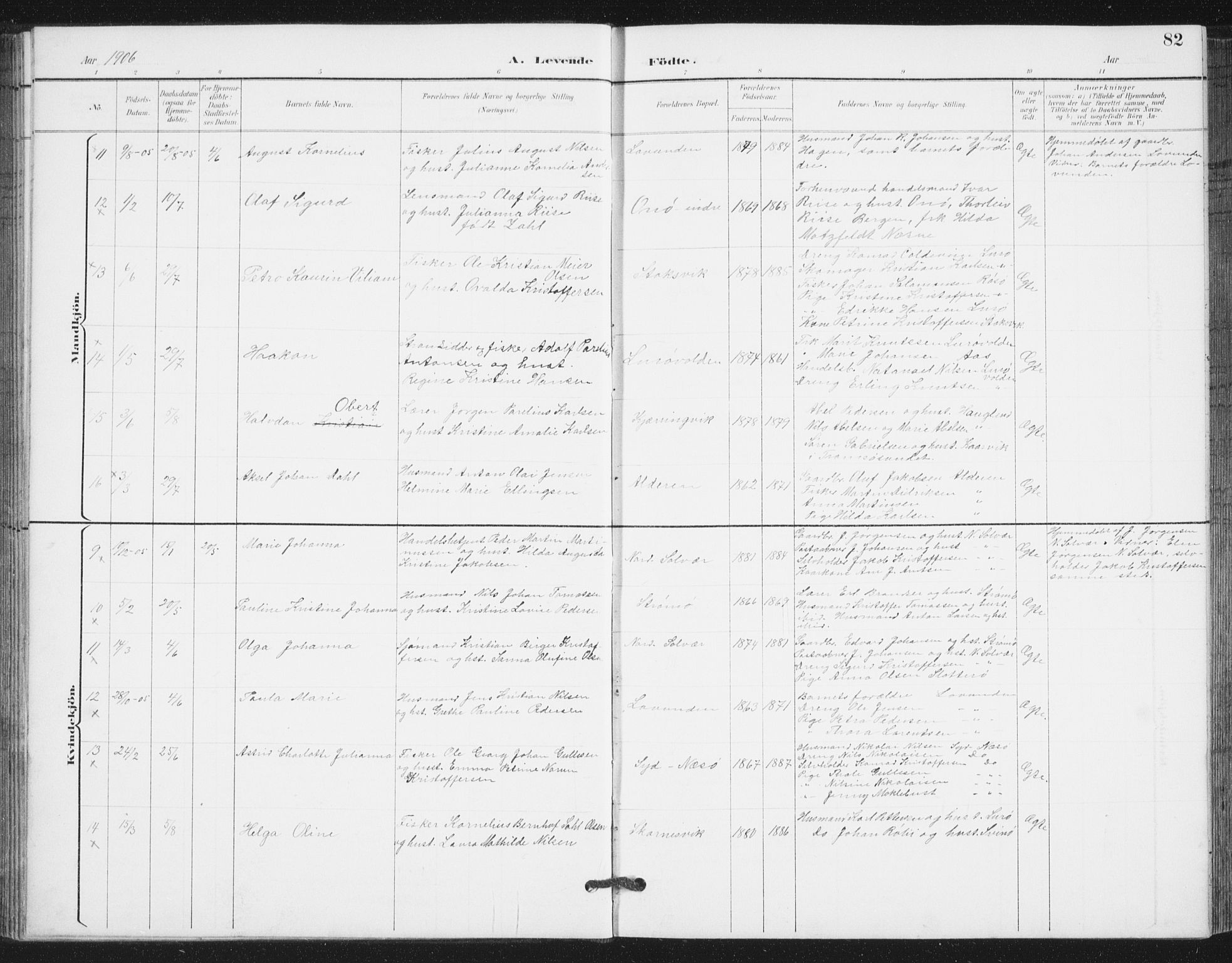 Ministerialprotokoller, klokkerbøker og fødselsregistre - Nordland, AV/SAT-A-1459/839/L0573: Parish register (copy) no. 839C03, 1892-1917, p. 82