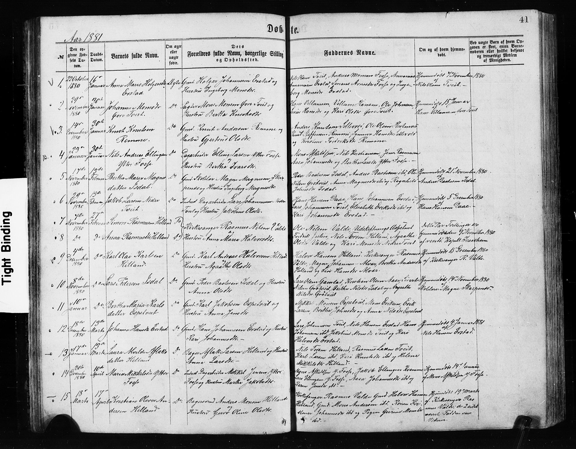 Alversund Sokneprestembete, SAB/A-73901/H/Ha/Hab: Parish register (copy) no. A 2, 1864-1905, p. 41