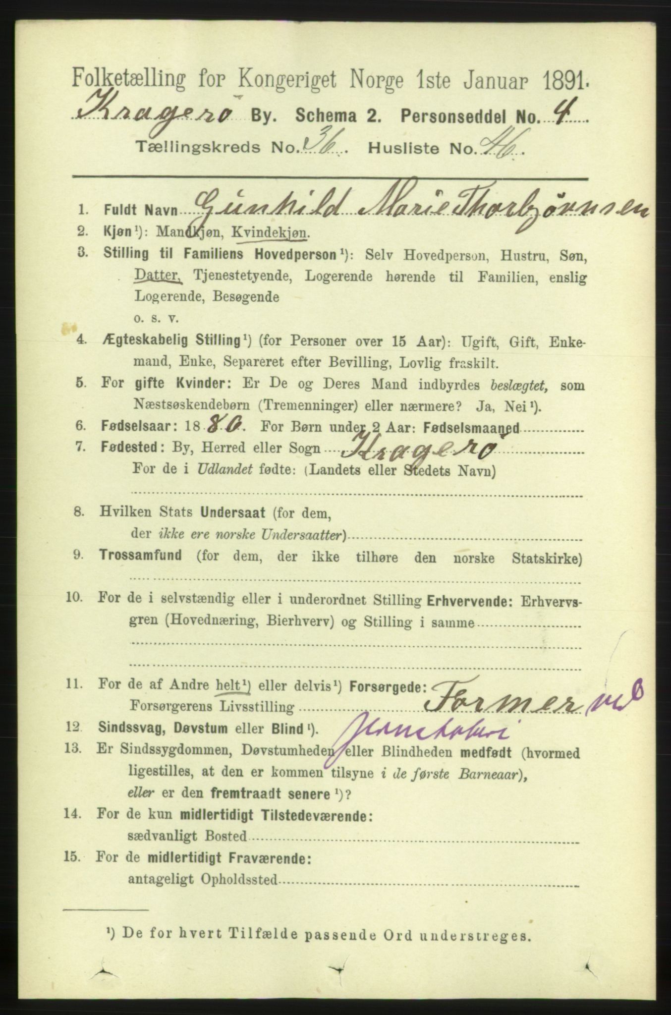 RA, 1891 census for 0801 Kragerø, 1891, p. 6745