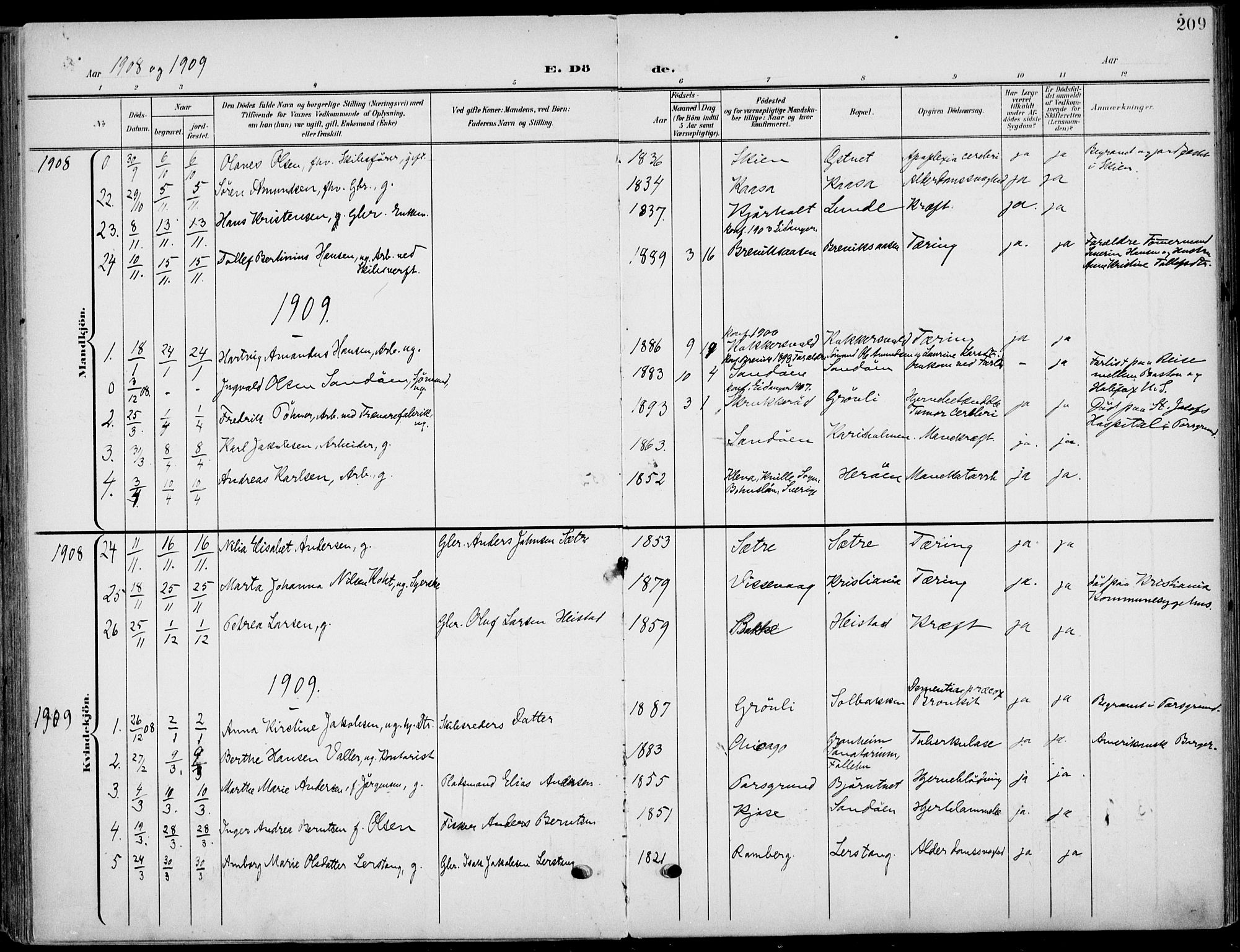 Eidanger kirkebøker, AV/SAKO-A-261/F/Fa/L0013: Parish register (official) no. 13, 1900-1913, p. 209