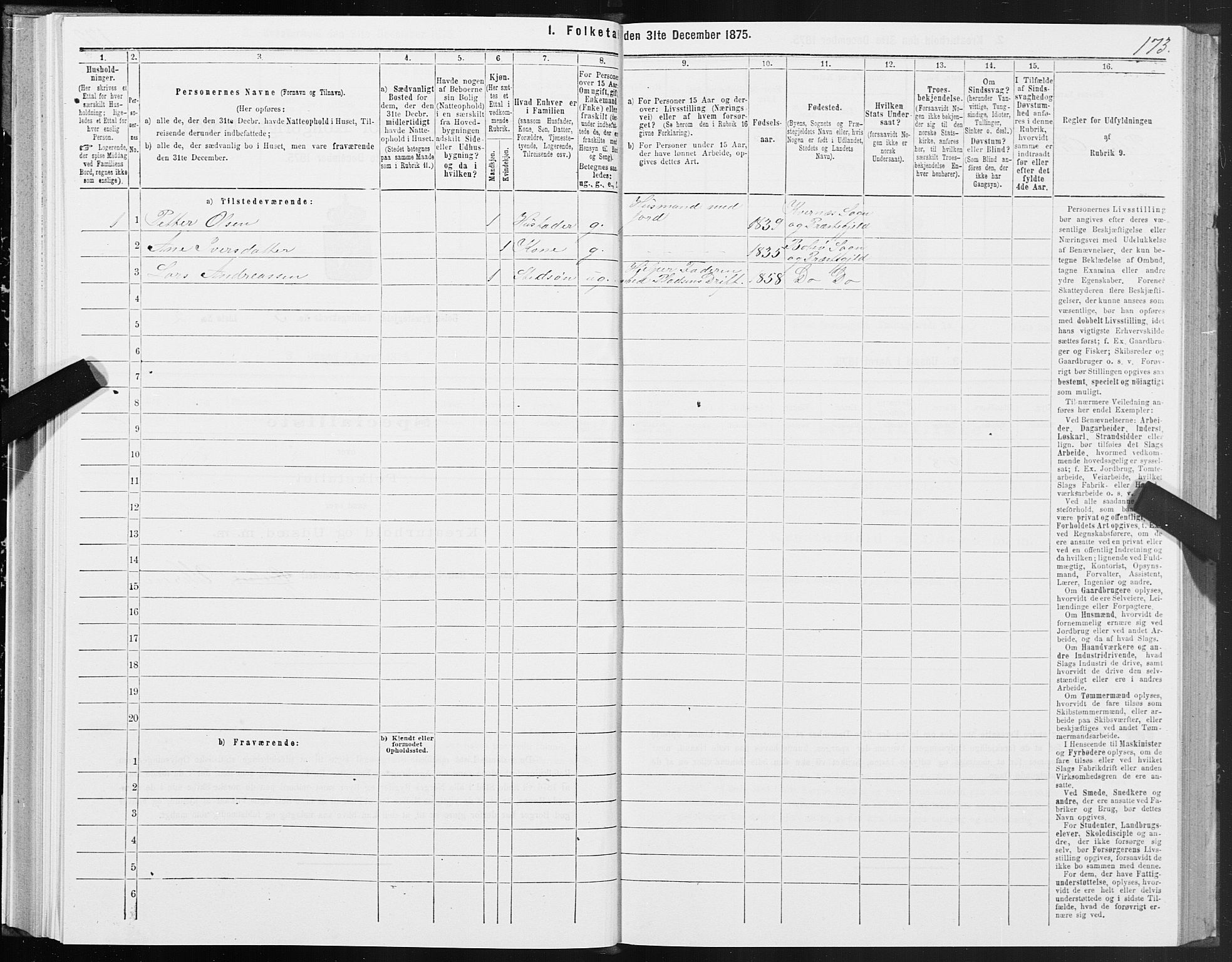 SAT, 1875 census for 1544P Bolsøy, 1875, p. 3173