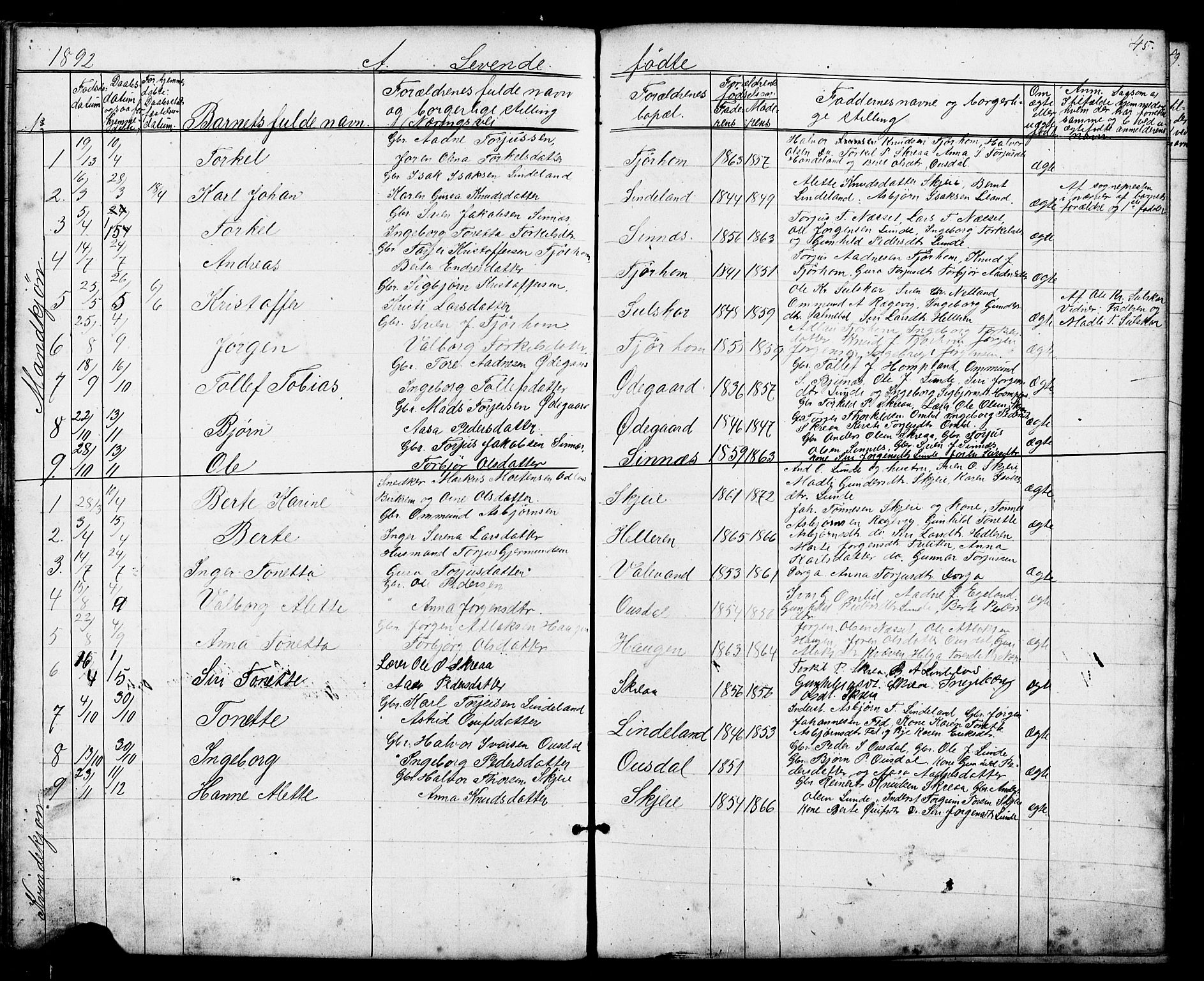 Sirdal sokneprestkontor, AV/SAK-1111-0036/F/Fb/Fba/L0001: Parish register (copy) no. B 1, 1872-1905, p. 45