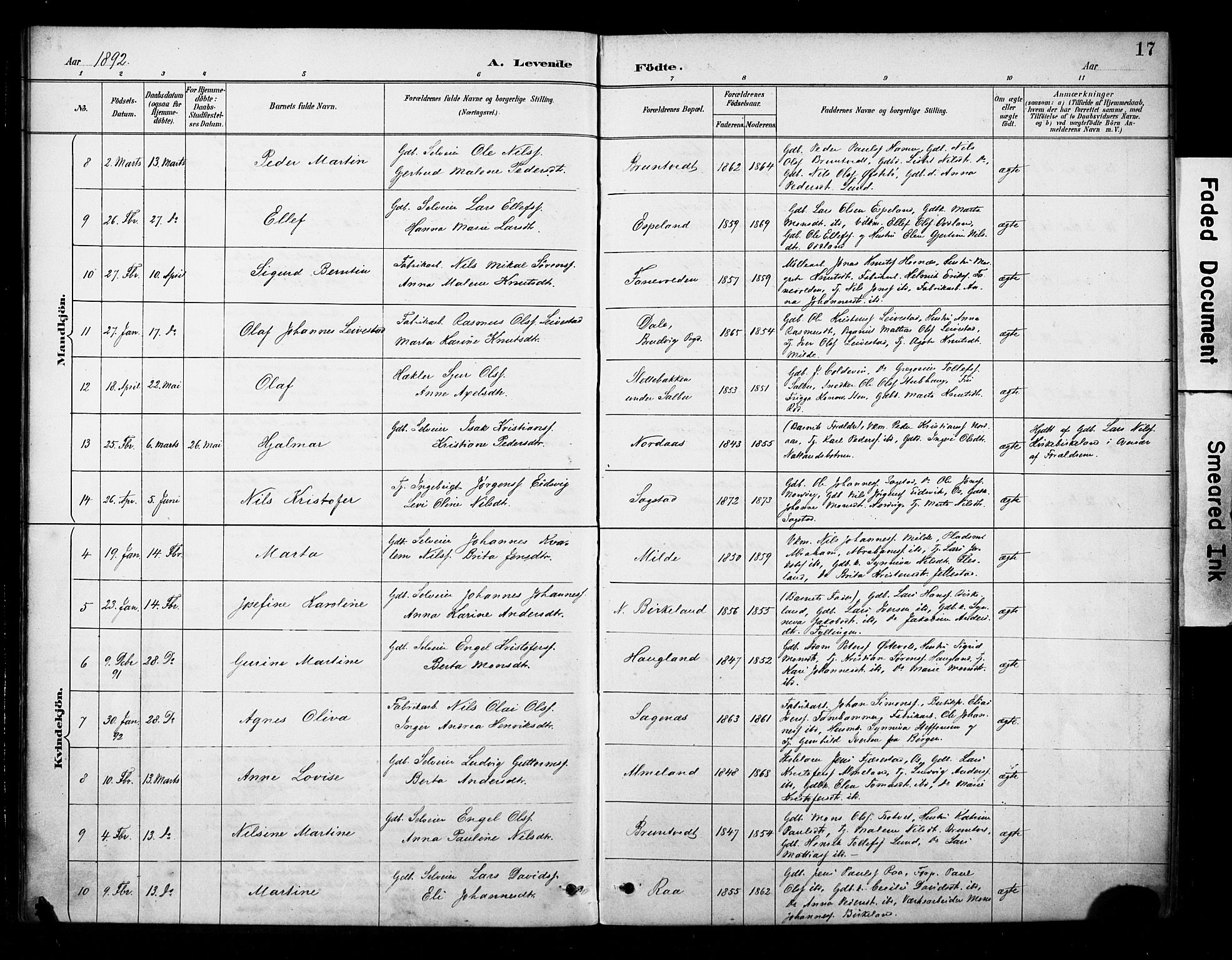 Fana Sokneprestembete, SAB/A-75101/H/Haa/Haab/L0002: Parish register (official) no. B 2, 1890-1897, p. 17