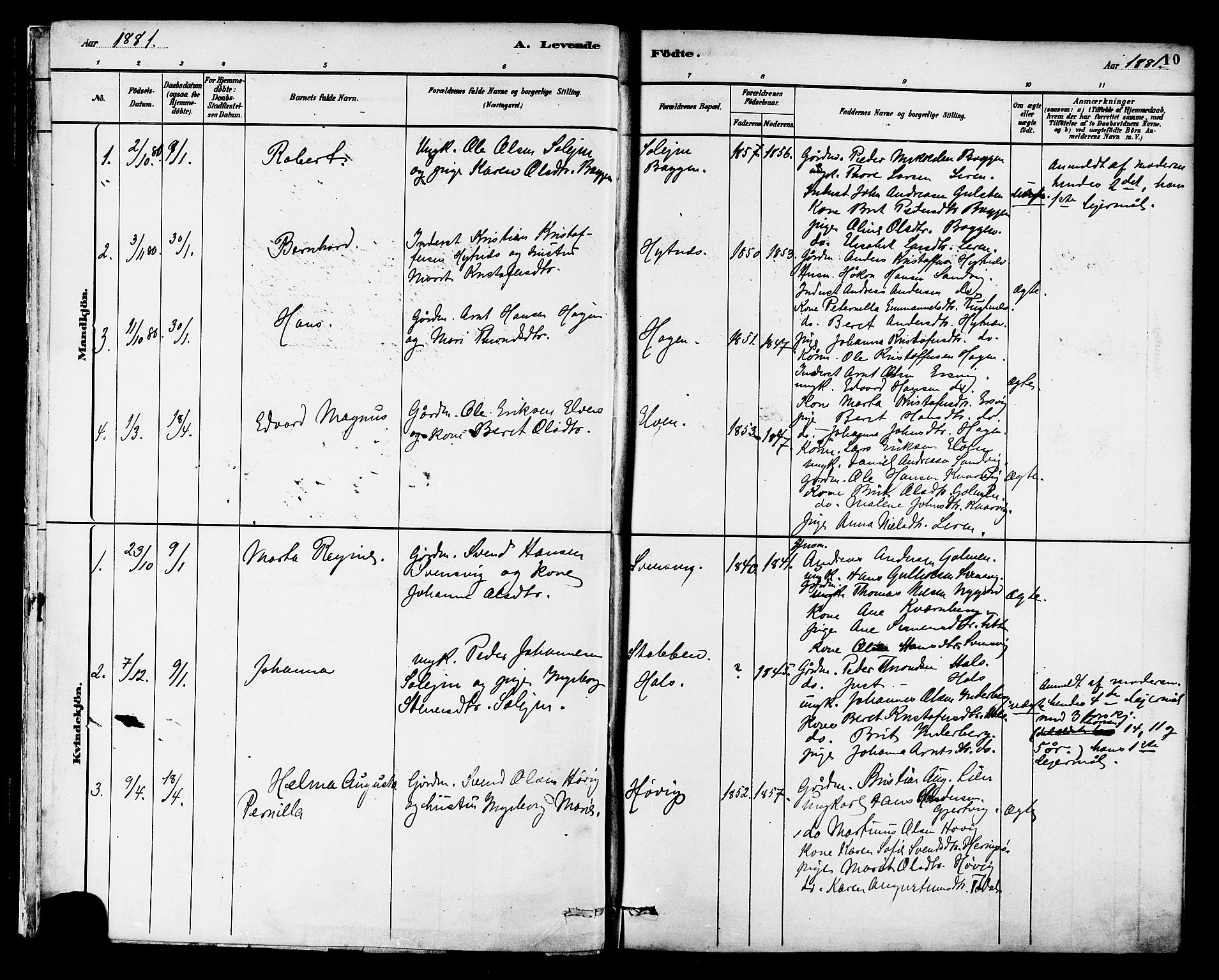 Ministerialprotokoller, klokkerbøker og fødselsregistre - Møre og Romsdal, AV/SAT-A-1454/577/L0896: Parish register (official) no. 577A03, 1880-1898, p. 10