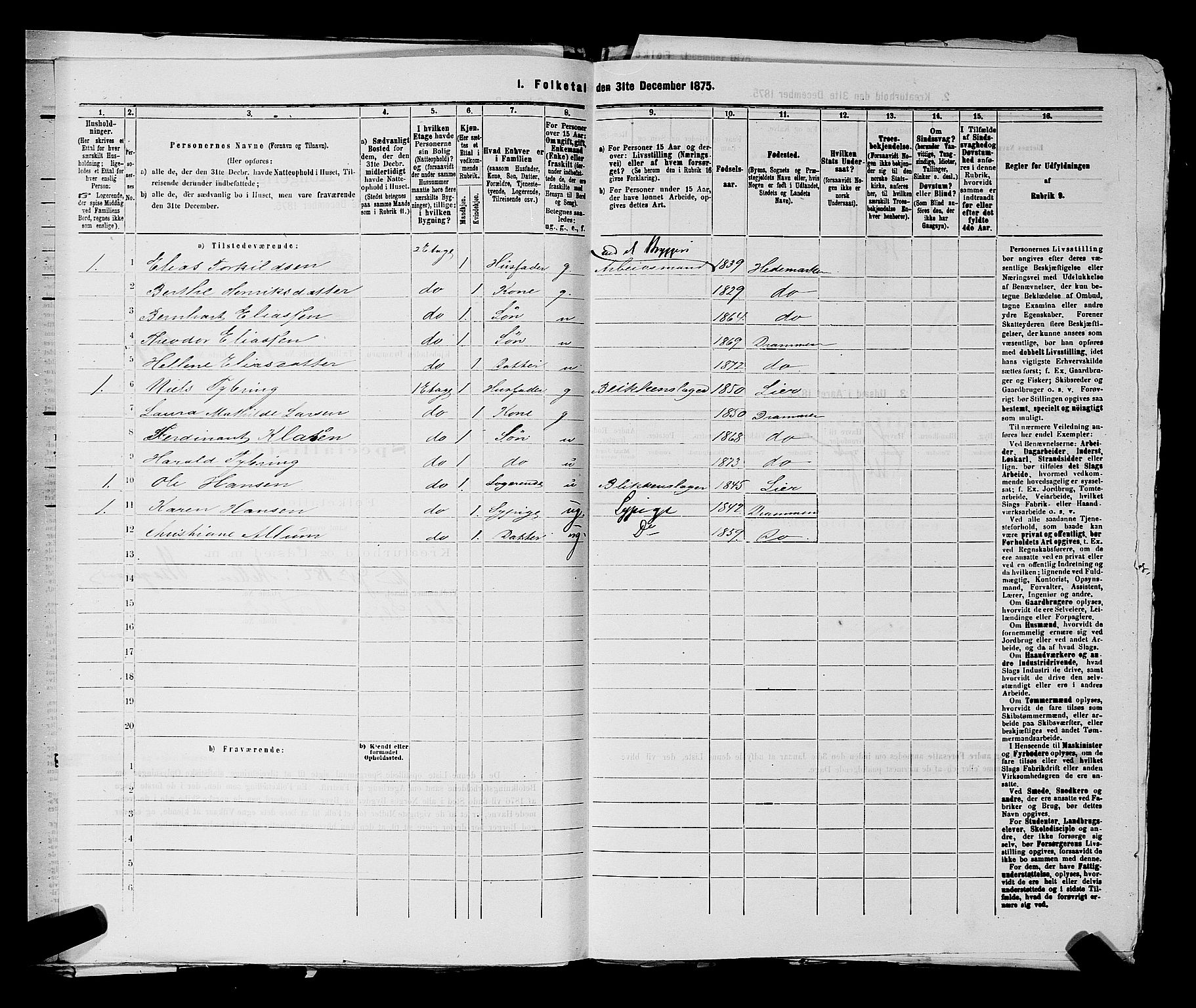 SAKO, 1875 census for 0602 Drammen, 1875, p. 1000