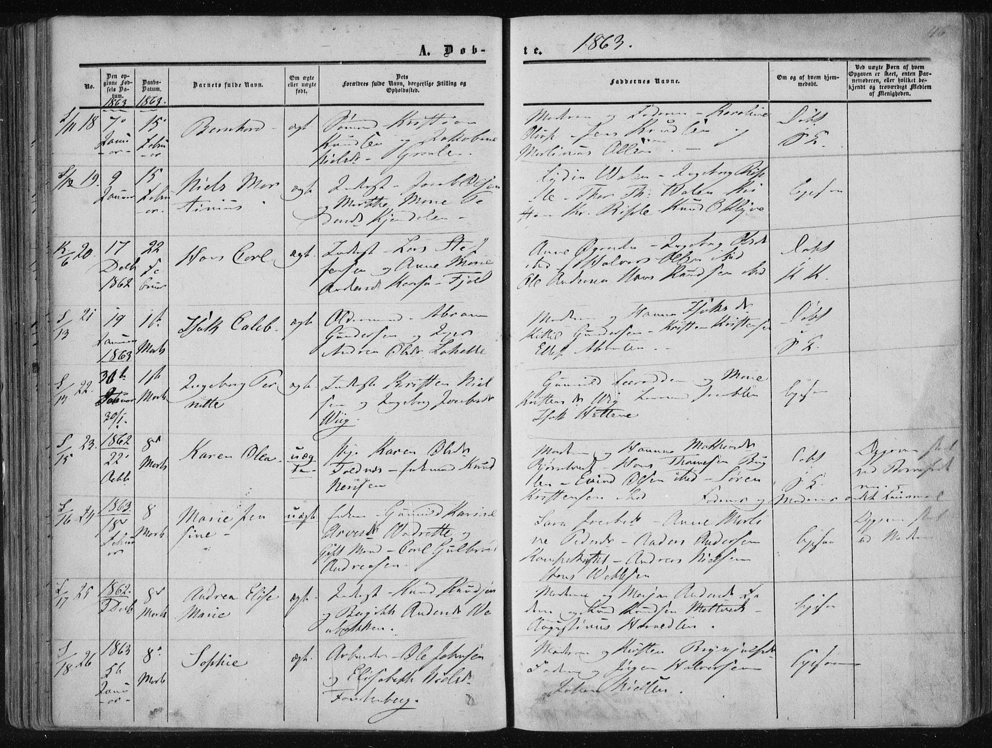 Solum kirkebøker, AV/SAKO-A-306/F/Fa/L0007: Parish register (official) no. I 7, 1856-1864, p. 116