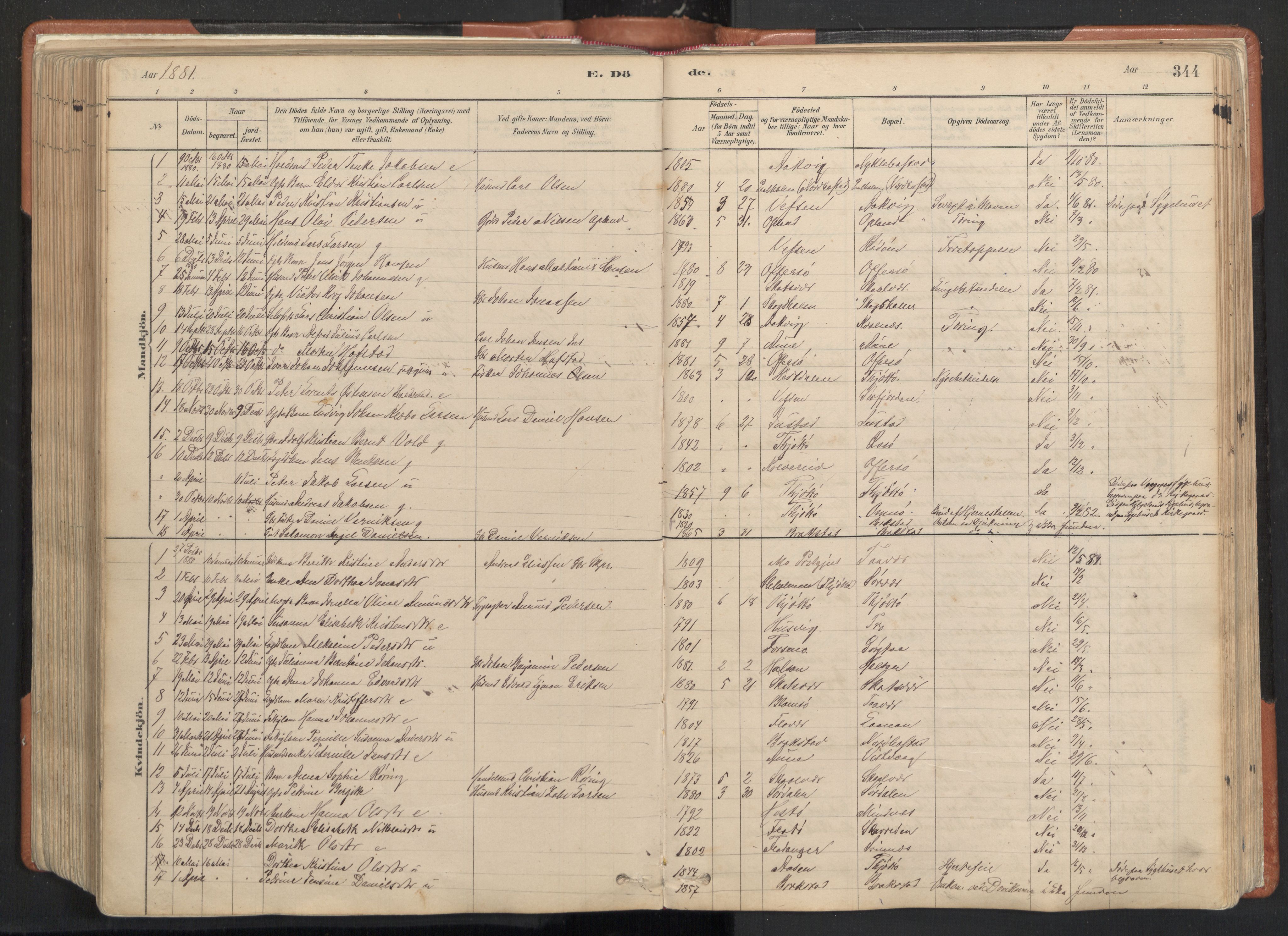 Ministerialprotokoller, klokkerbøker og fødselsregistre - Nordland, SAT/A-1459/817/L0264: Parish register (official) no. 817A04, 1878-1907, p. 344