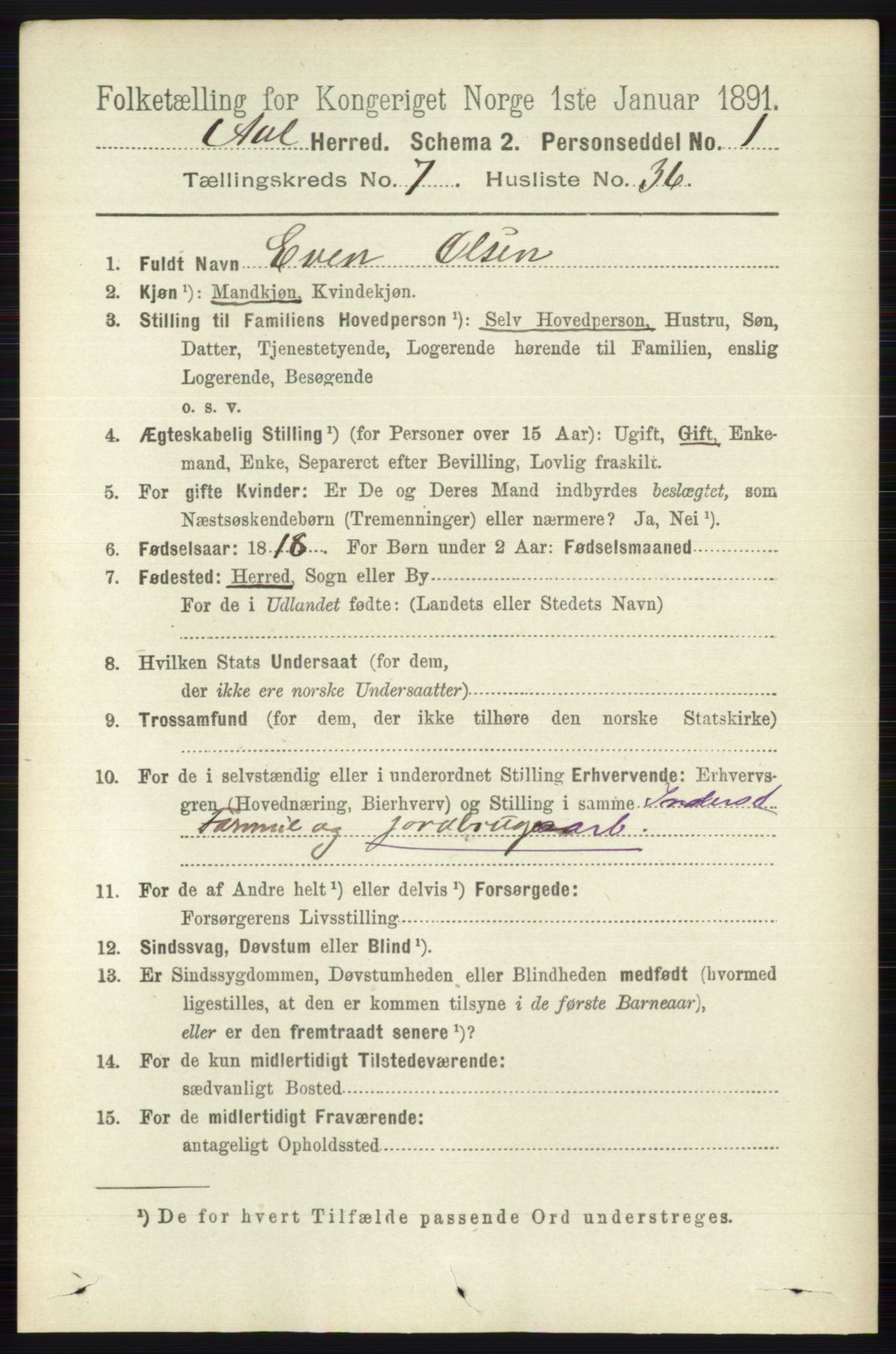 RA, 1891 census for 0619 Ål, 1891, p. 1986