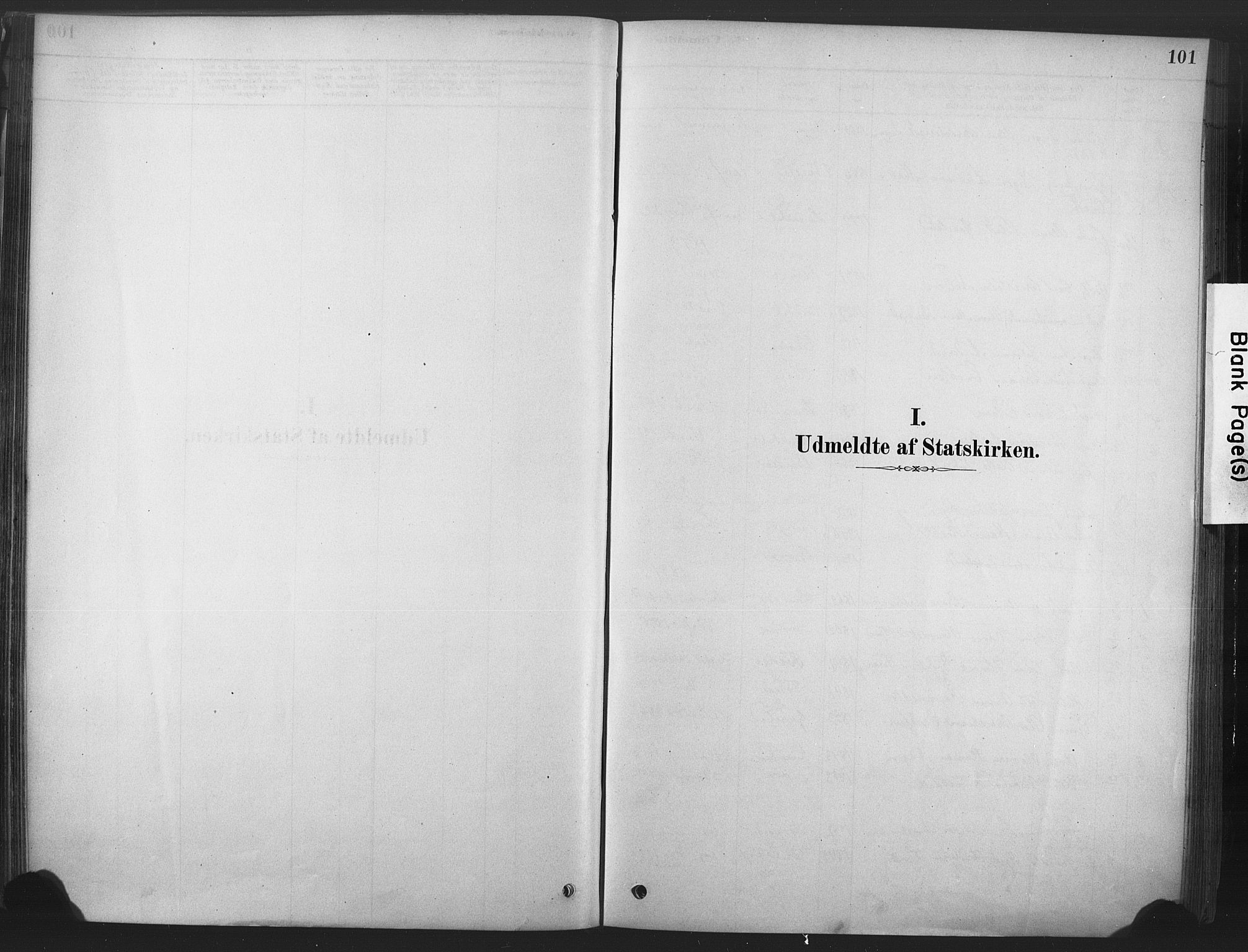 Våle kirkebøker, SAKO/A-334/F/Fb/L0002: Parish register (official) no. II 2, 1878-1907, p. 101