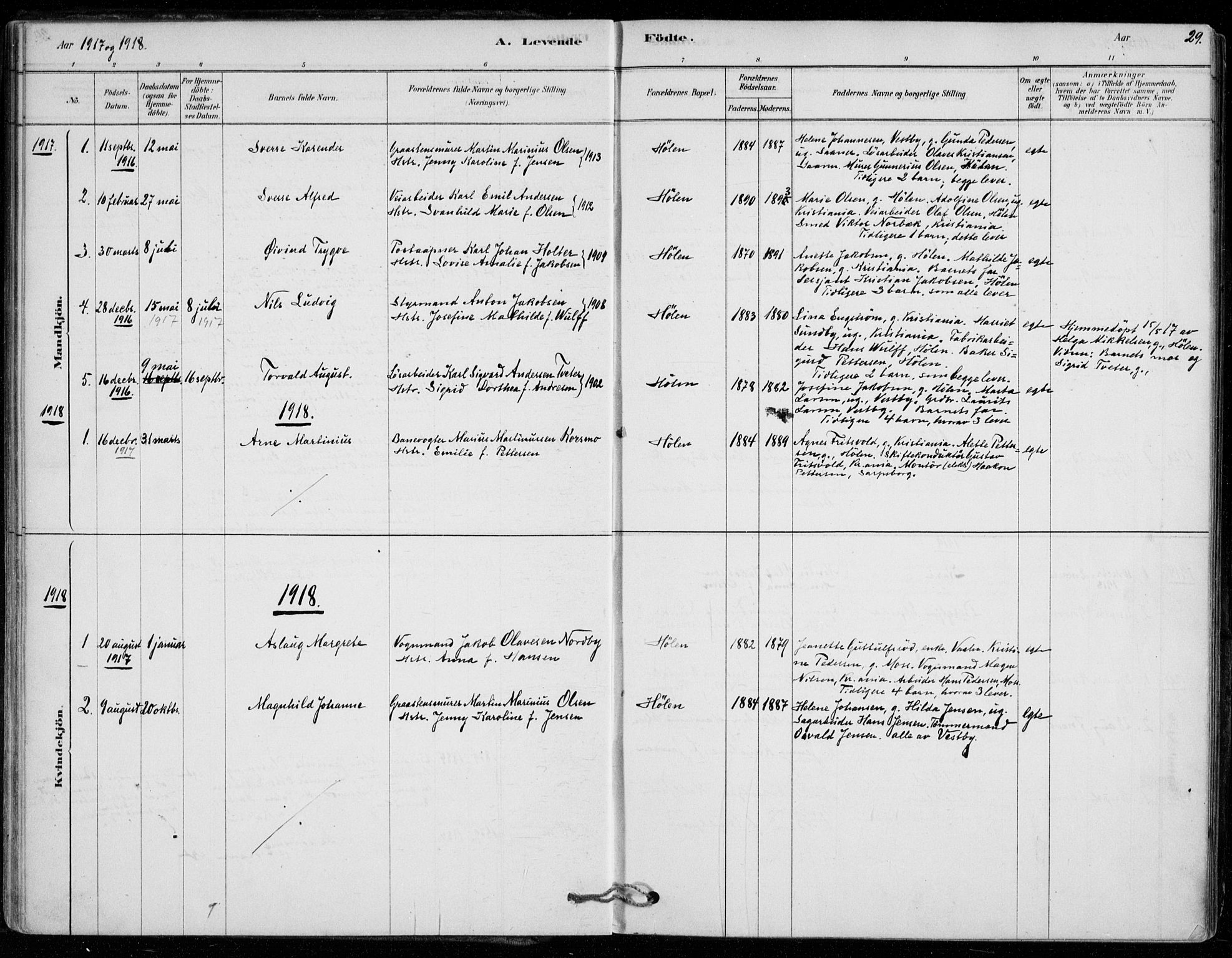 Vestby prestekontor Kirkebøker, AV/SAO-A-10893/F/Fe/L0001: Parish register (official) no. V 1, 1878-1931, p. 29