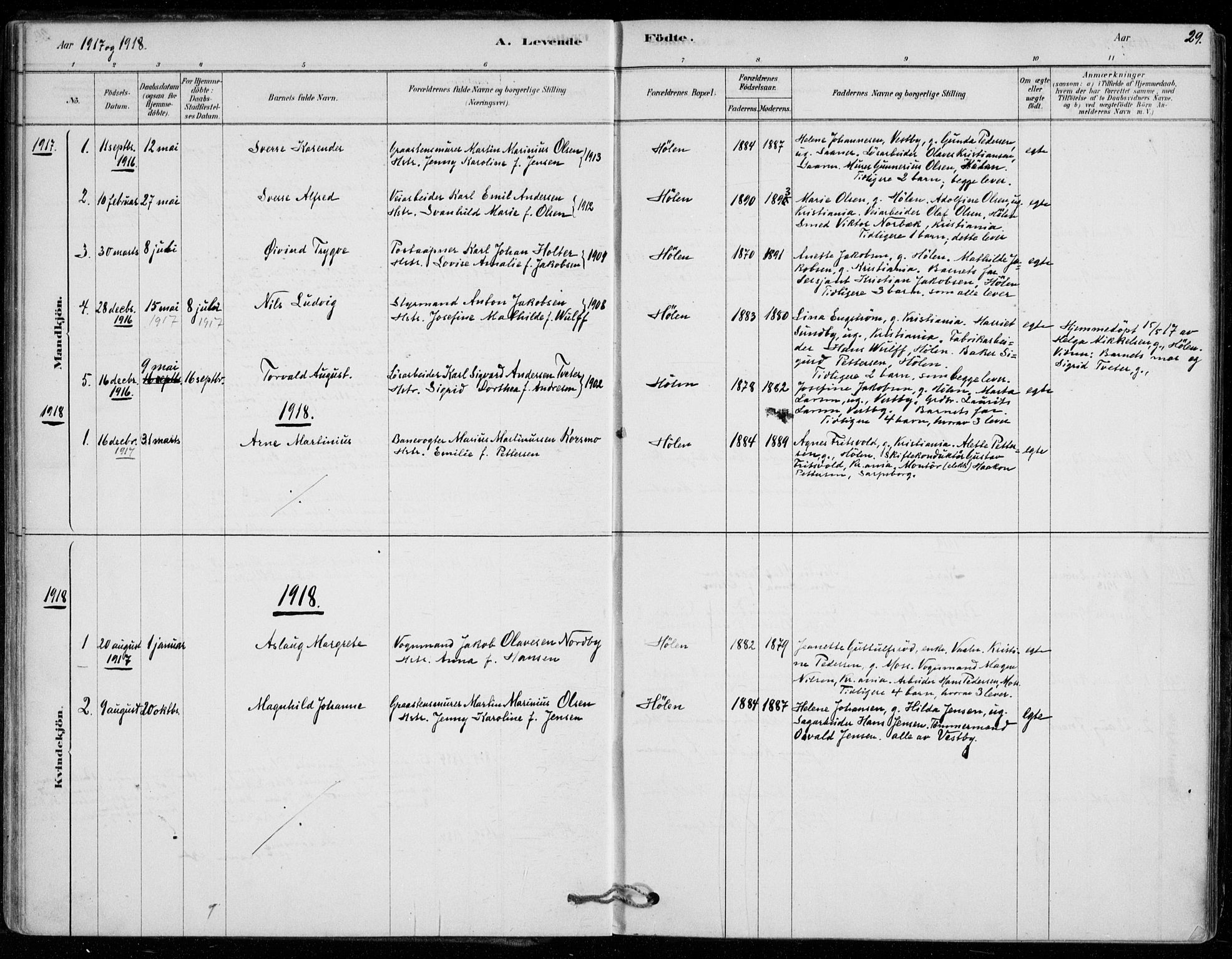 Vestby prestekontor Kirkebøker, SAO/A-10893/F/Fe/L0001: Parish register (official) no. V 1, 1878-1931, p. 29