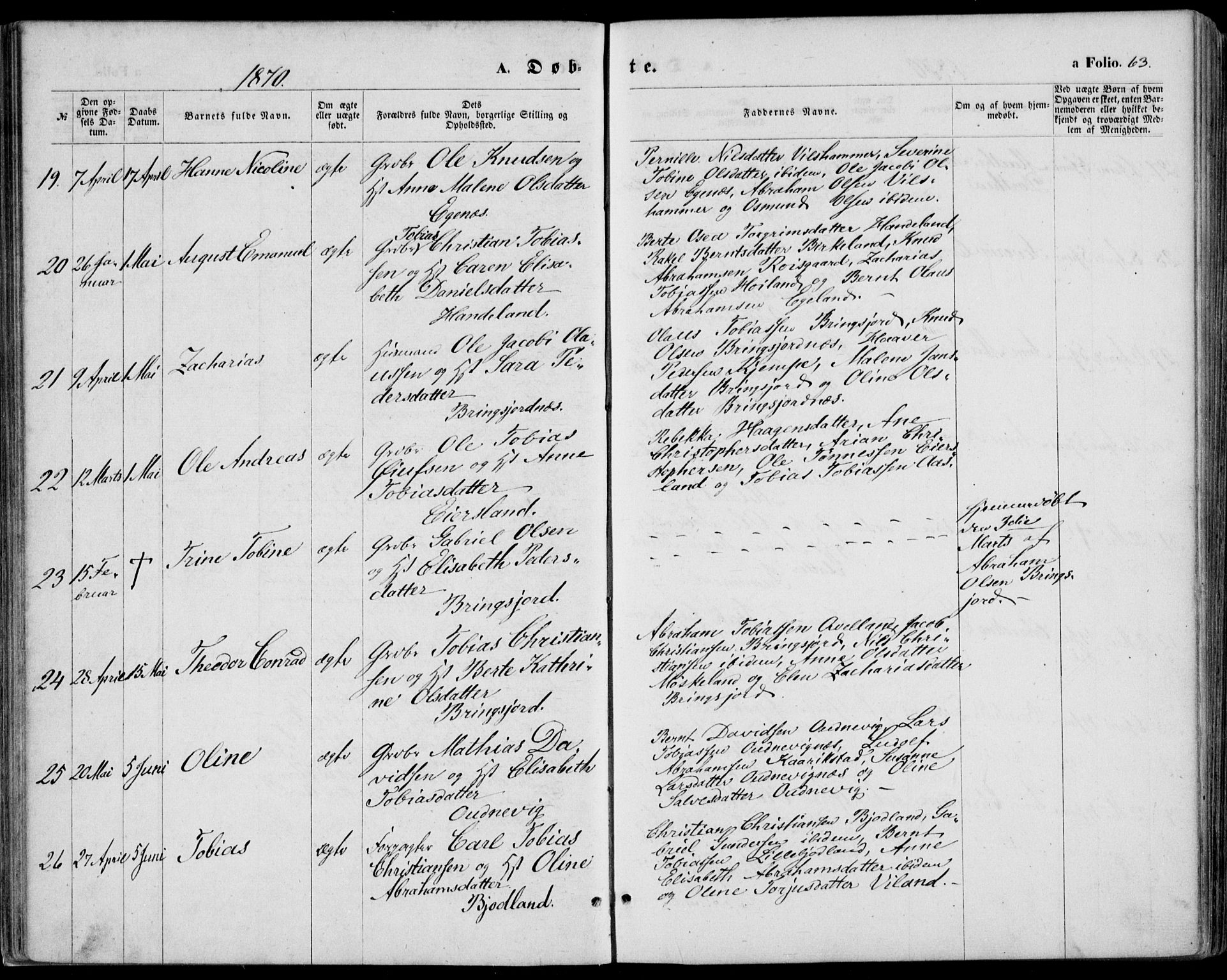 Lyngdal sokneprestkontor, AV/SAK-1111-0029/F/Fa/Fac/L0010: Parish register (official) no. A 10, 1865-1878, p. 63