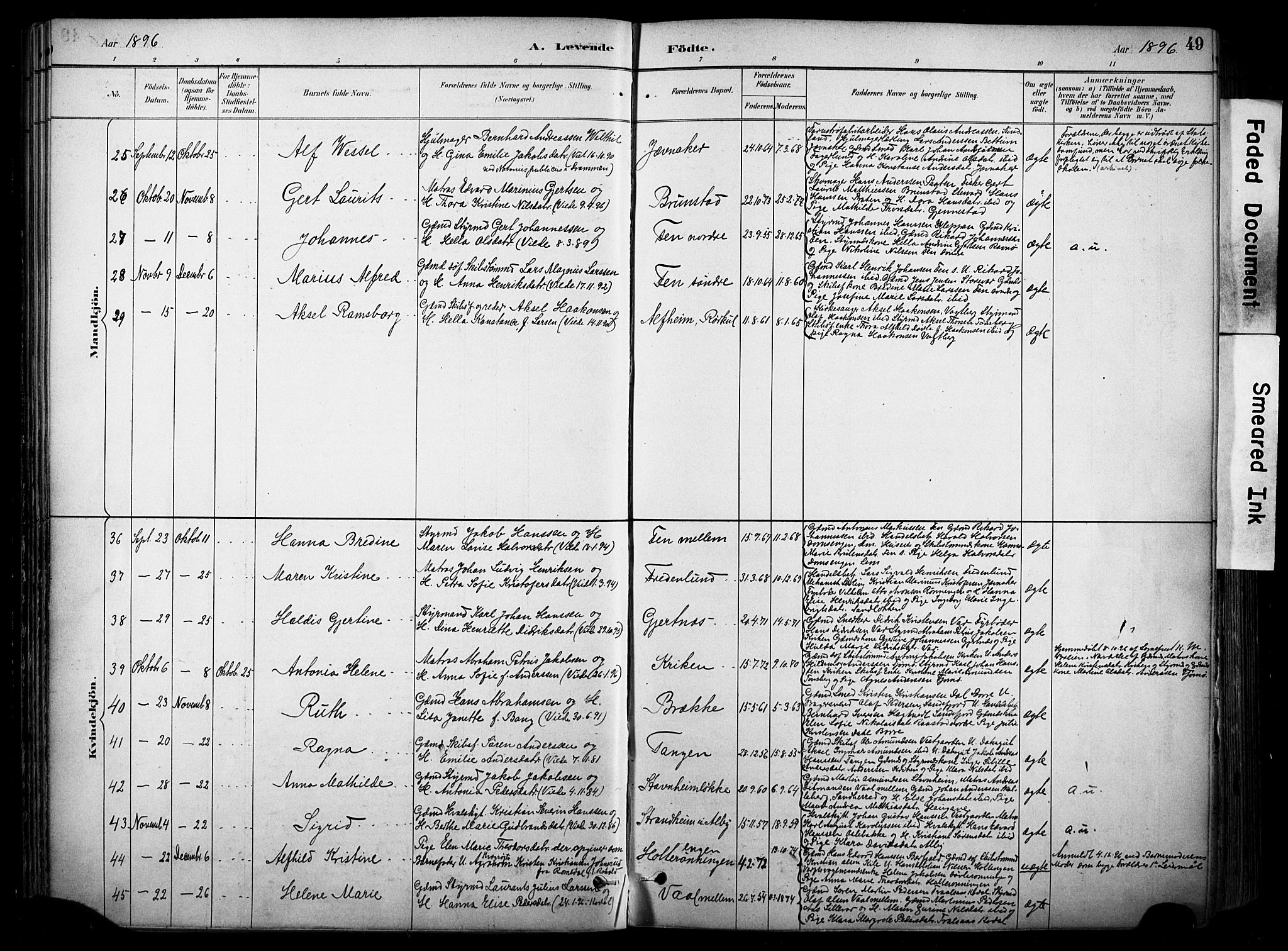 Stokke kirkebøker, SAKO/A-320/F/Fa/L0010: Parish register (official) no. I 10, 1884-1903, p. 49