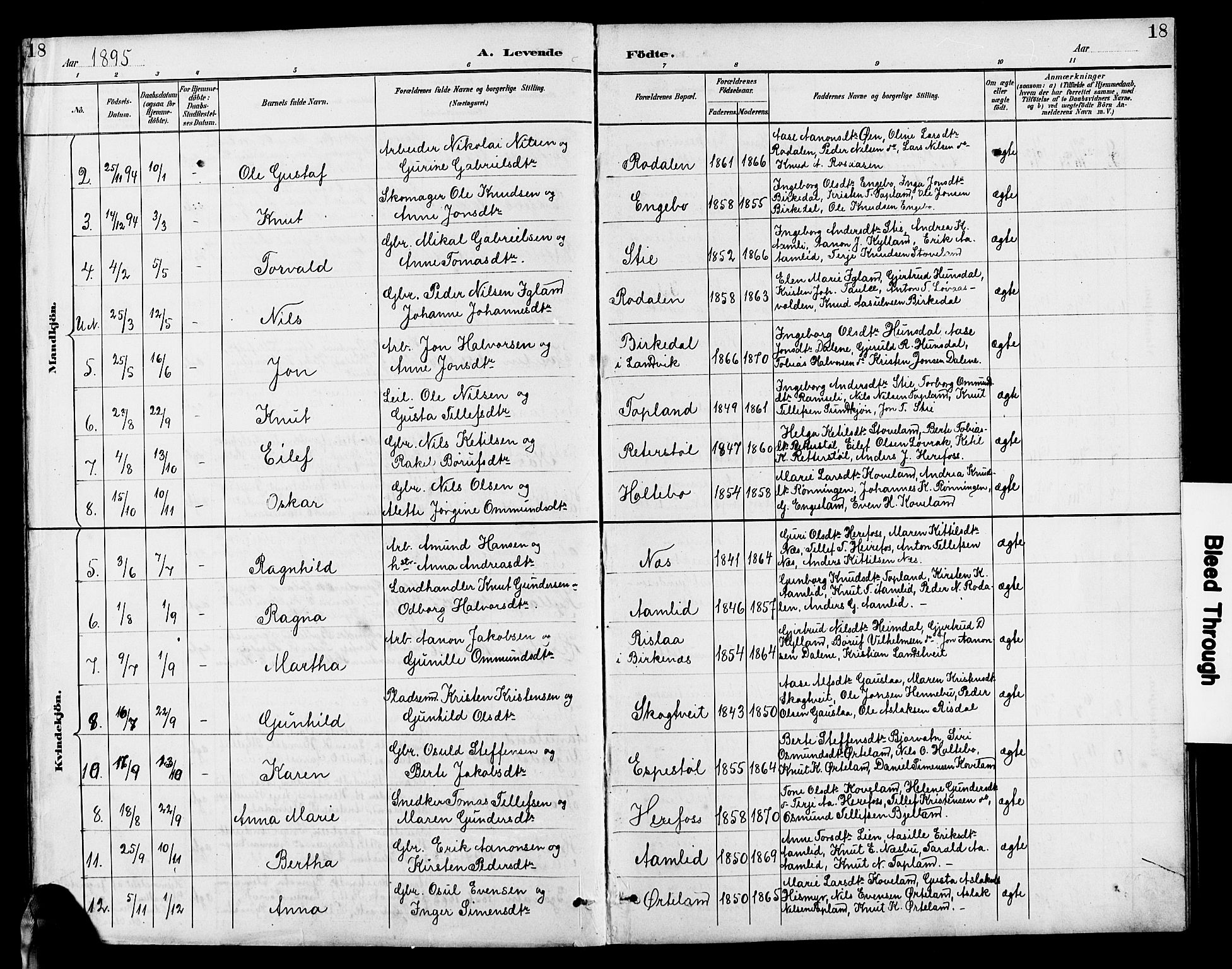 Herefoss sokneprestkontor, SAK/1111-0019/F/Fb/Fba/L0003: Parish register (copy) no. B 3, 1887-1925, p. 18