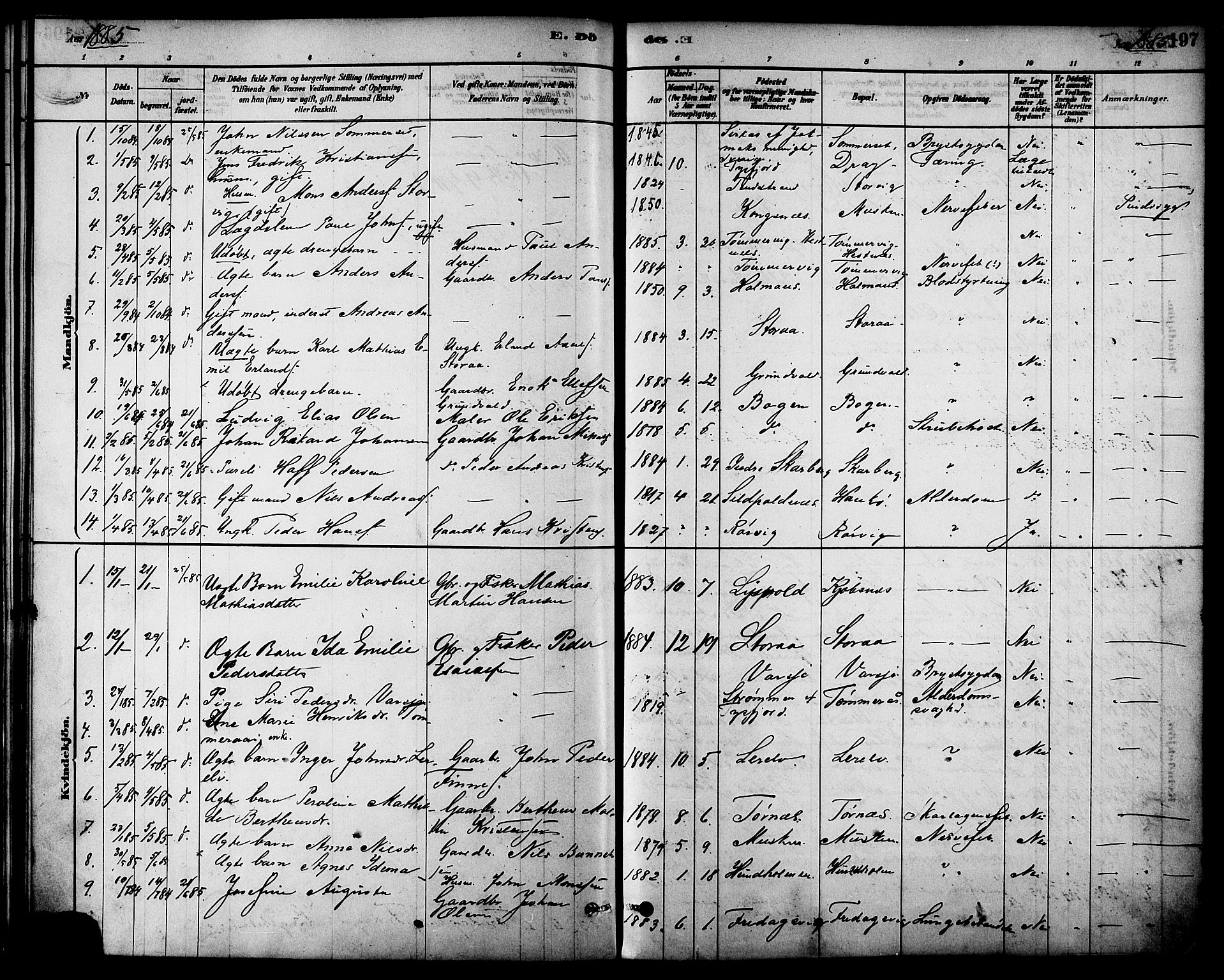 Ministerialprotokoller, klokkerbøker og fødselsregistre - Nordland, SAT/A-1459/861/L0868: Parish register (official) no. 861A03, 1879-1889, p. 197