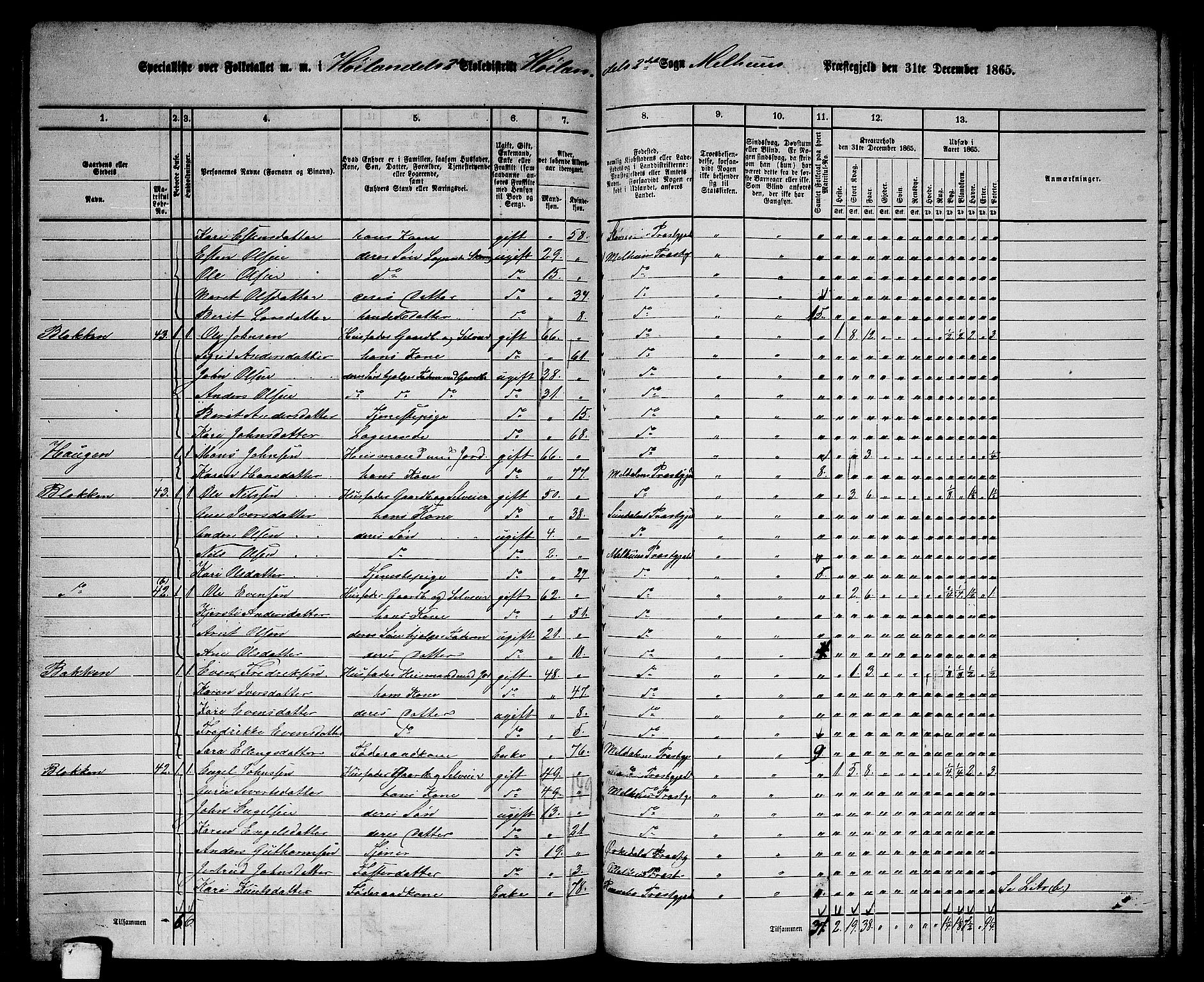 RA, 1865 census for Melhus, 1865, p. 189