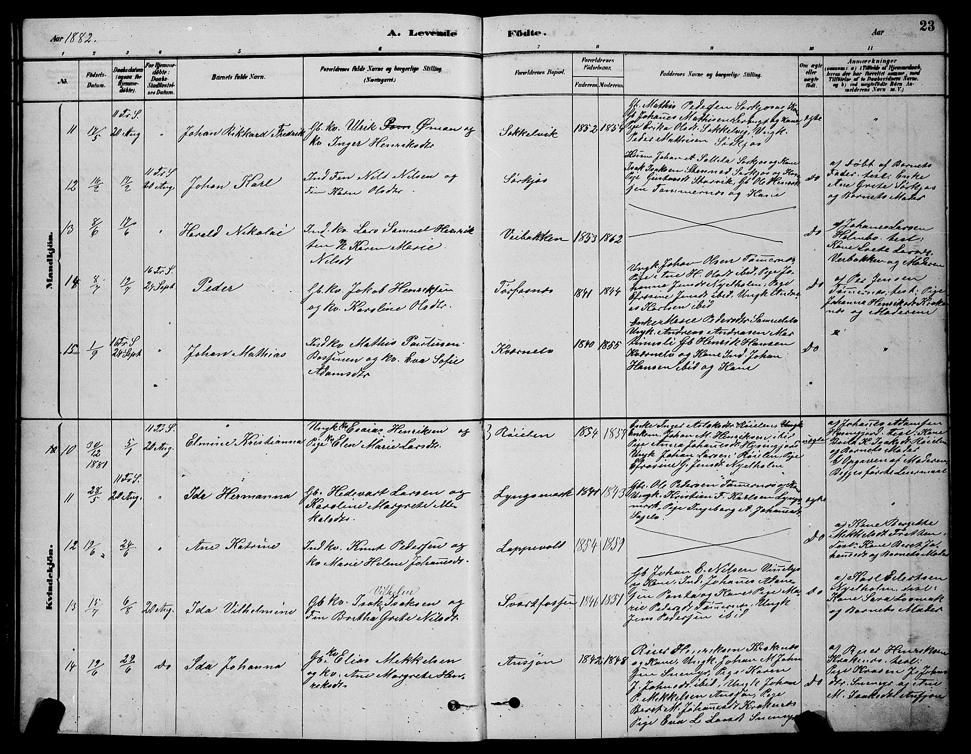 Skjervøy sokneprestkontor, AV/SATØ-S-1300/H/Ha/Hab/L0020klokker: Parish register (copy) no. 20, 1878-1892, p. 23