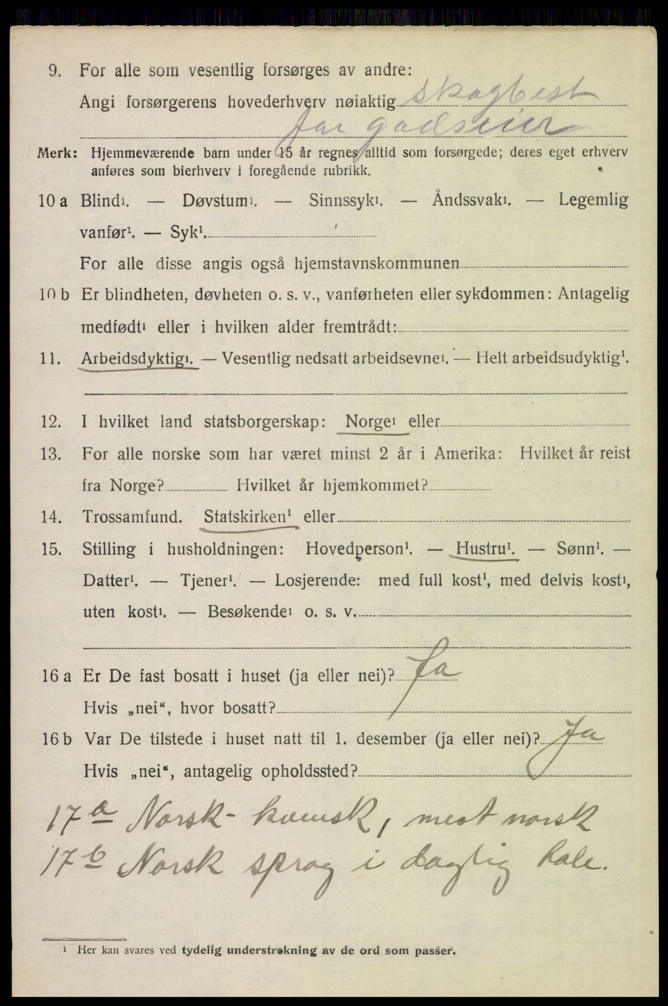 SAH, 1920 census for Brandval, 1920, p. 9133