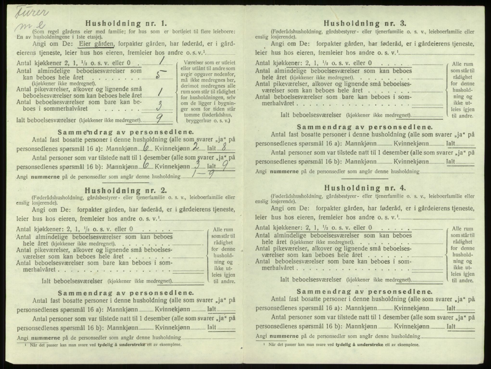 SAB, 1920 census for Lærdal, 1920, p. 423