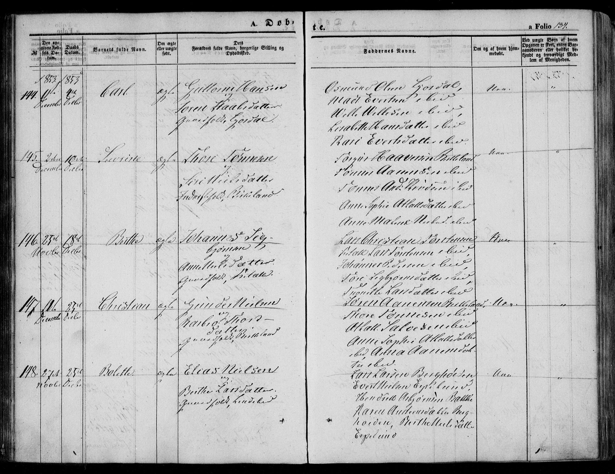 Bakke sokneprestkontor, AV/SAK-1111-0002/F/Fa/Faa/L0005: Parish register (official) no. A 5, 1847-1855, p. 134