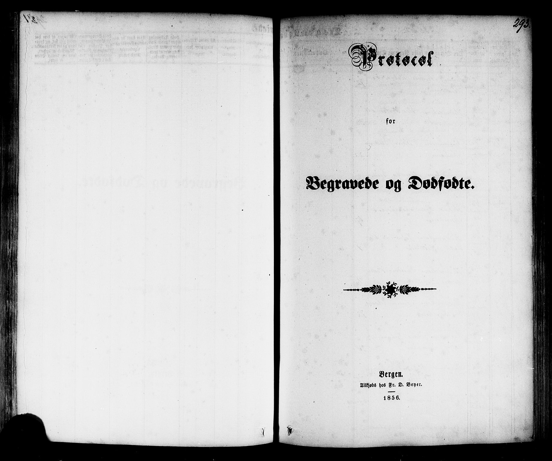 Årdal sokneprestembete, AV/SAB-A-81701: Parish register (official) no. A 3, 1863-1886, p. 293