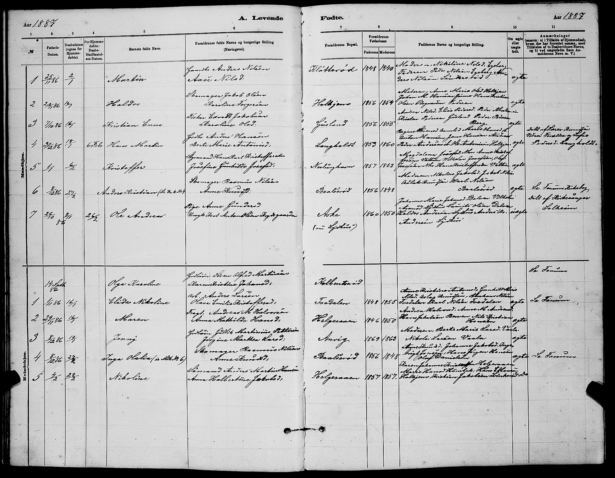 Brunlanes kirkebøker, AV/SAKO-A-342/G/Gb/L0002: Parish register (copy) no. II 2, 1878-1902