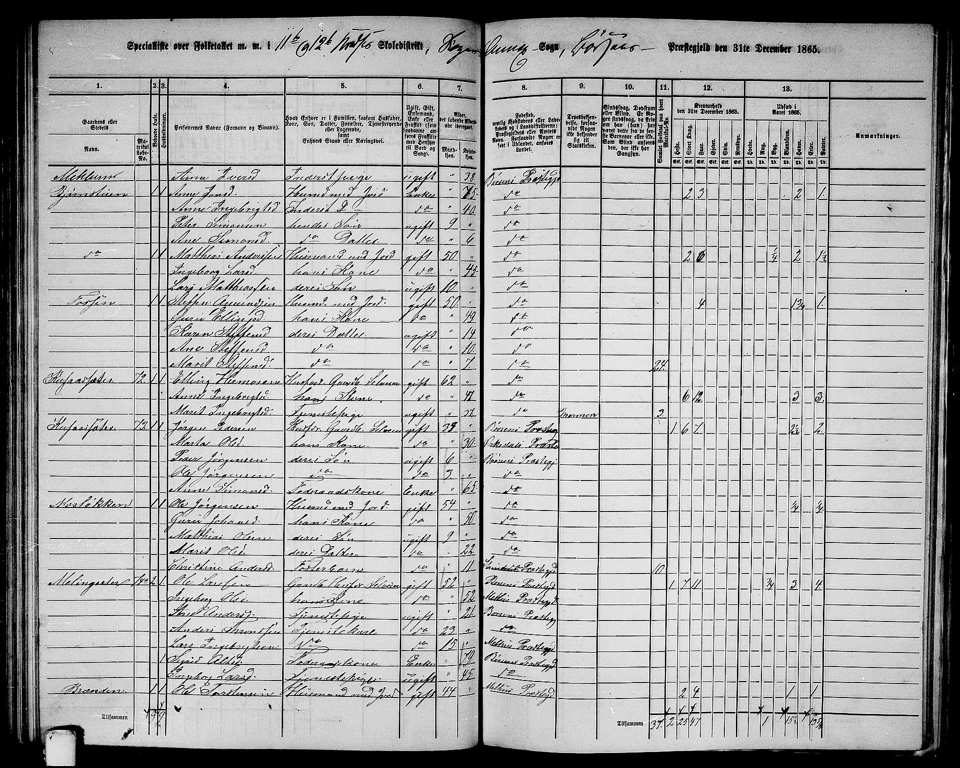 RA, 1865 census for Børsa, 1865, p. 136