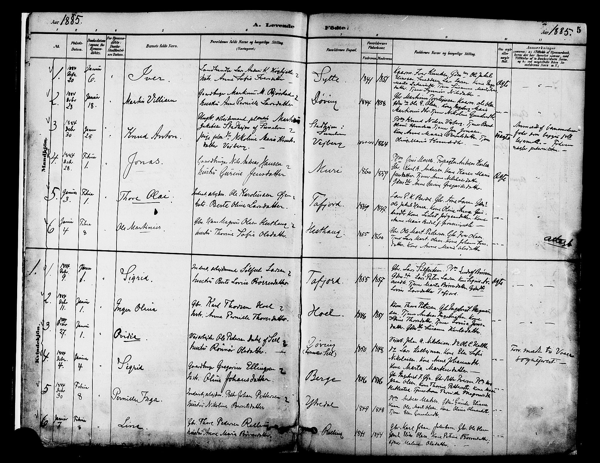 Ministerialprotokoller, klokkerbøker og fødselsregistre - Møre og Romsdal, SAT/A-1454/519/L0255: Parish register (official) no. 519A14, 1884-1908, p. 5