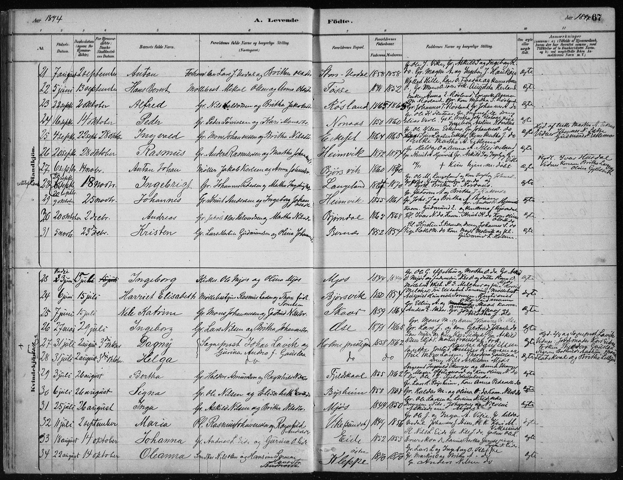 Hosanger sokneprestembete, AV/SAB-A-75801/H/Haa: Parish register (official) no. B  1, 1880-1896, p. 67