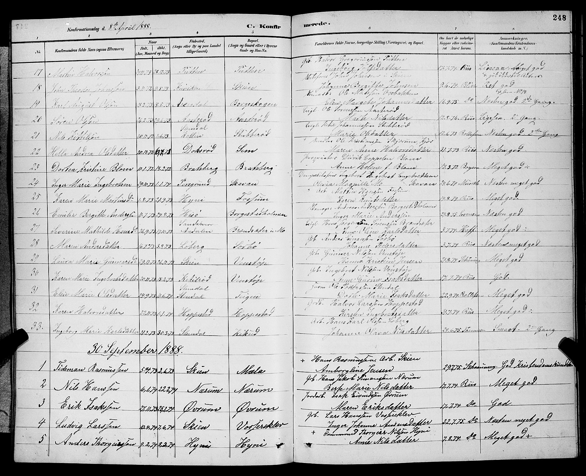 Gjerpen kirkebøker, SAKO/A-265/G/Ga/L0002: Parish register (copy) no. I 2, 1883-1900, p. 248