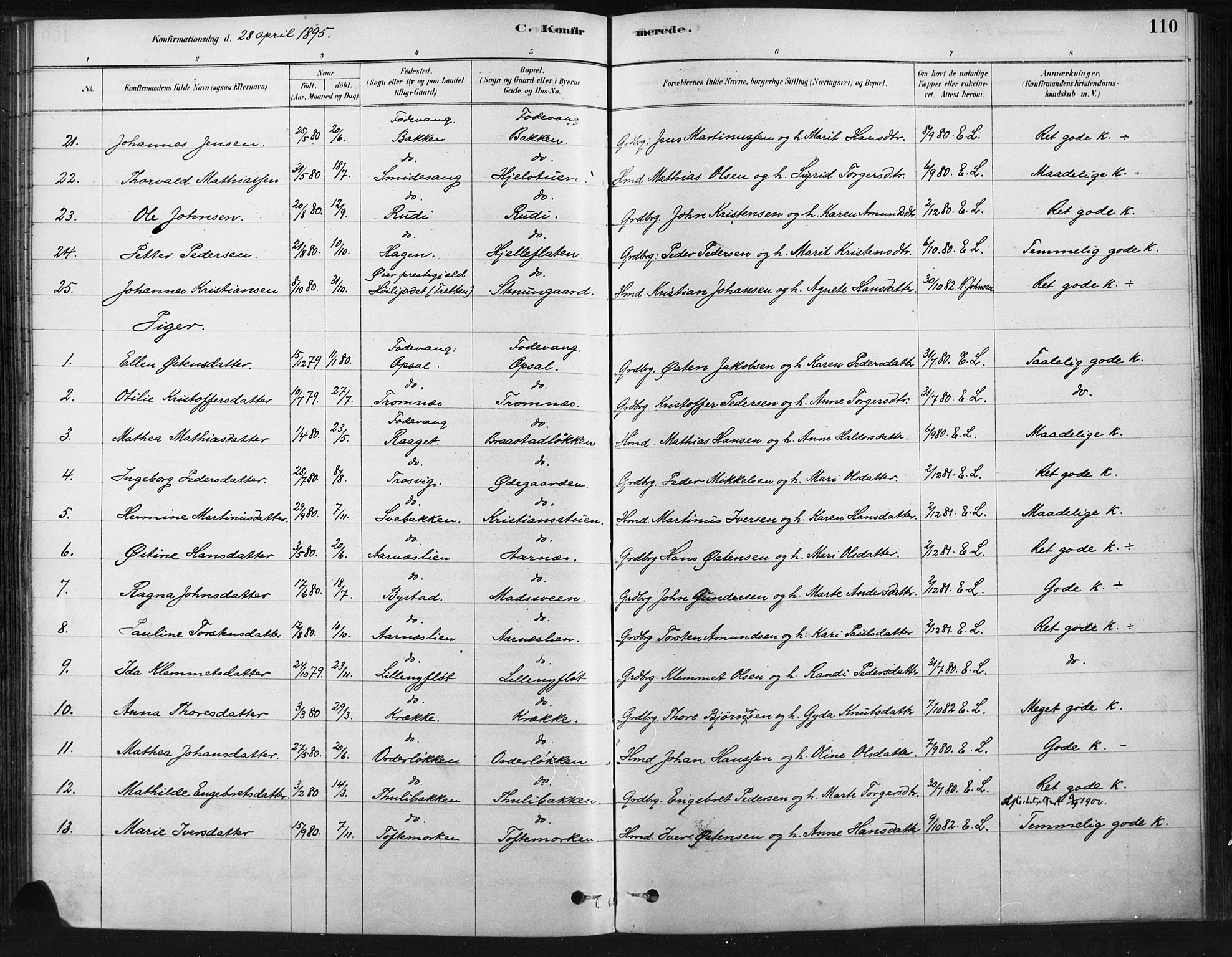 Ringebu prestekontor, SAH/PREST-082/H/Ha/Haa/L0009: Parish register (official) no. 9, 1878-1898, p. 109