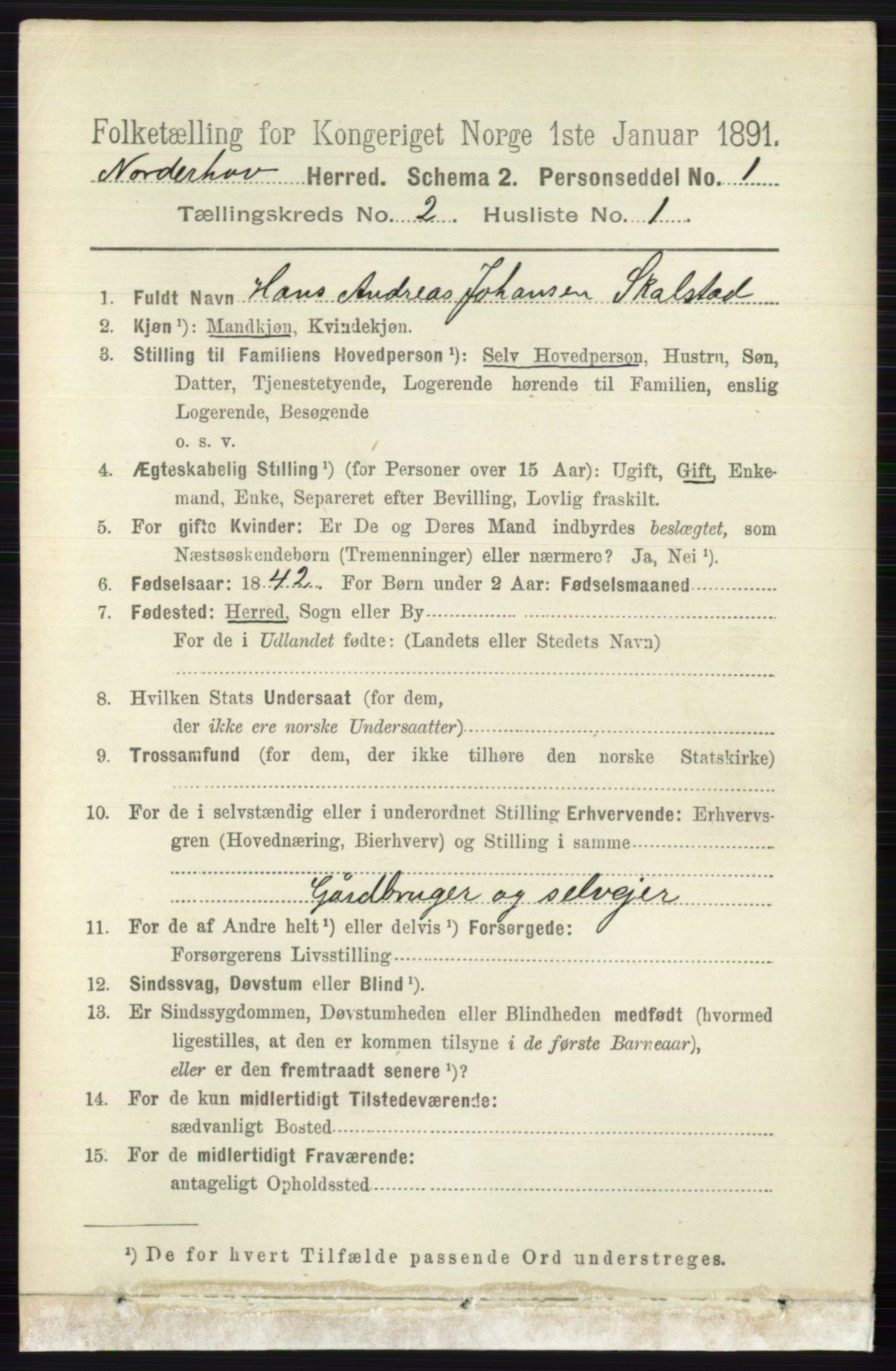 RA, 1891 census for 0613 Norderhov, 1891, p. 695