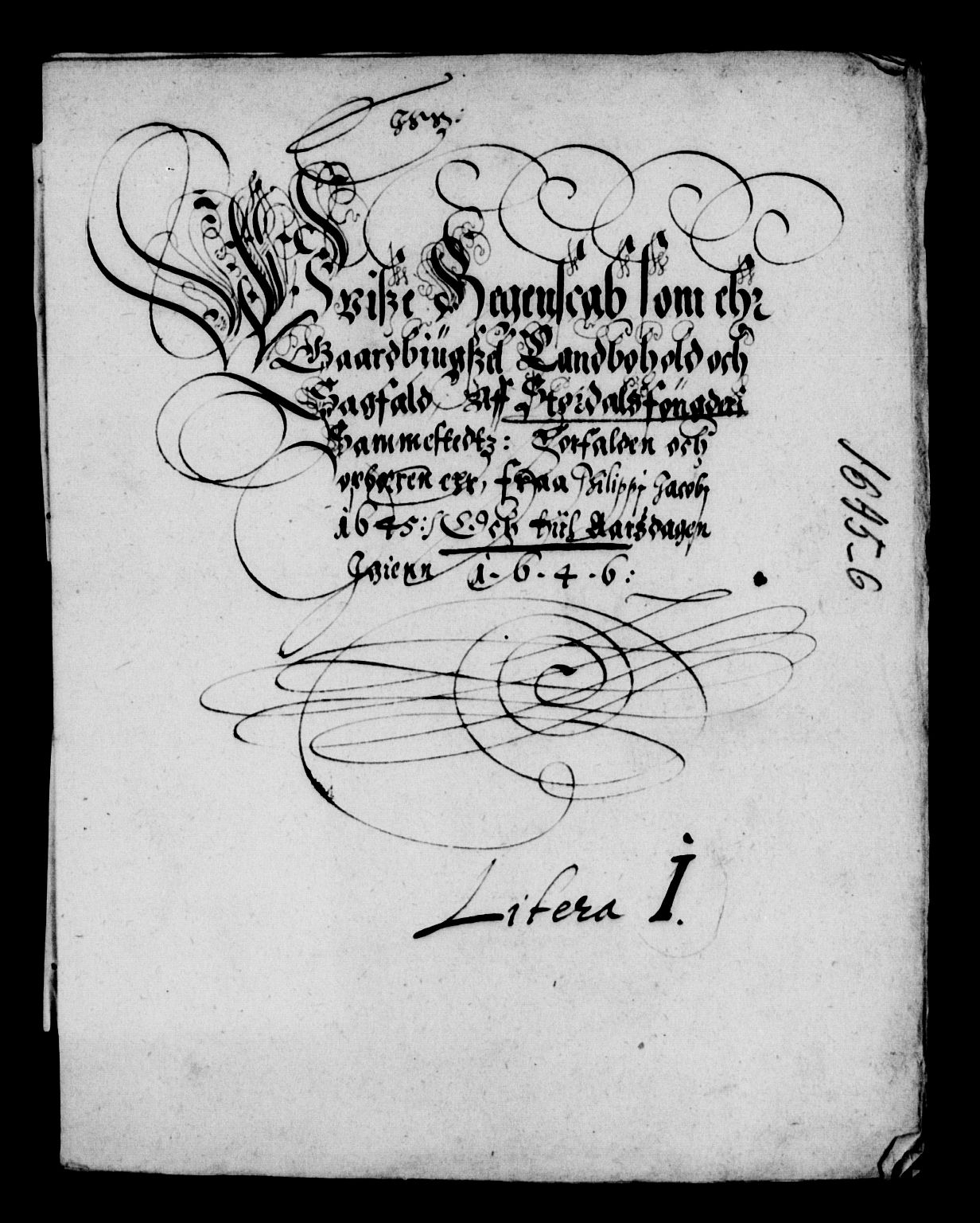 Rentekammeret inntil 1814, Reviderte regnskaper, Lensregnskaper, AV/RA-EA-5023/R/Rb/Rbw/L0083: Trondheim len, 1644-1646