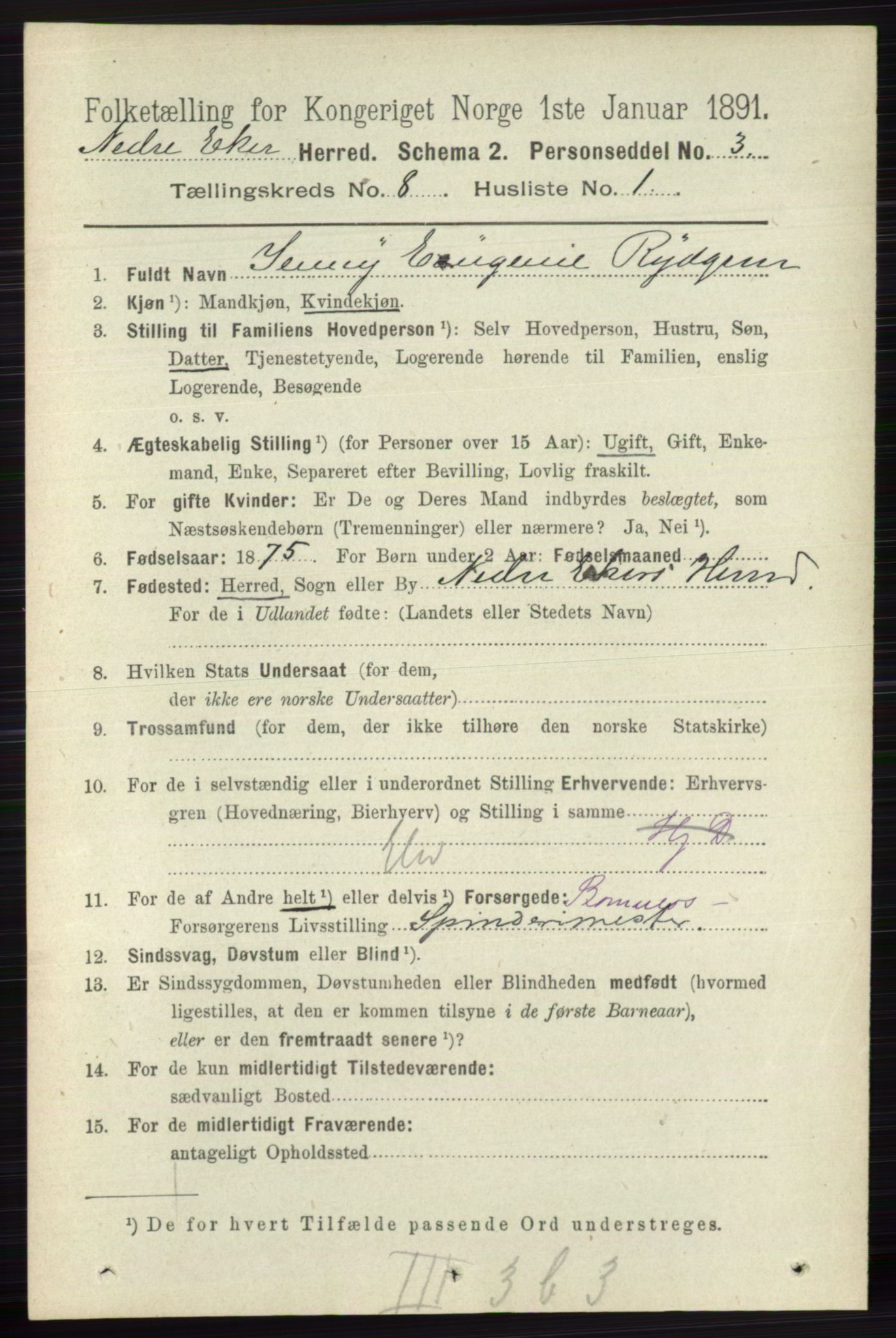 RA, 1891 census for 0625 Nedre Eiker, 1891, p. 3955