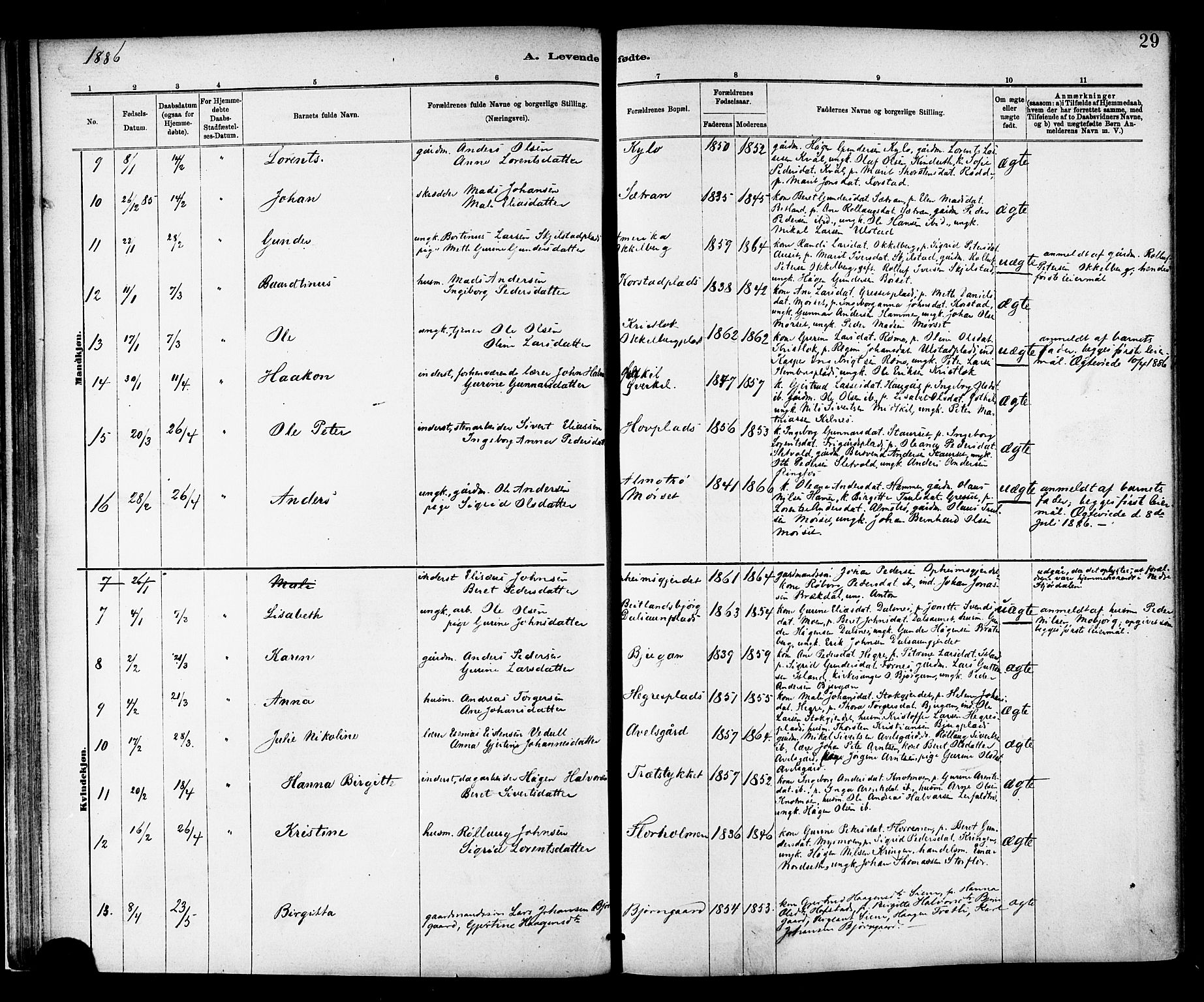 Ministerialprotokoller, klokkerbøker og fødselsregistre - Nord-Trøndelag, SAT/A-1458/703/L0030: Parish register (official) no. 703A03, 1880-1892, p. 29