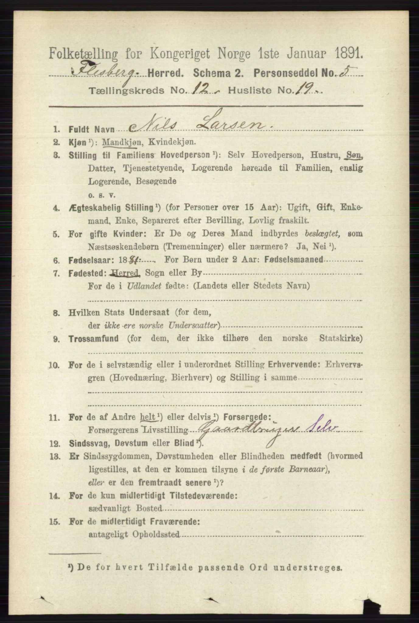 RA, 1891 census for 0631 Flesberg, 1891, p. 2168