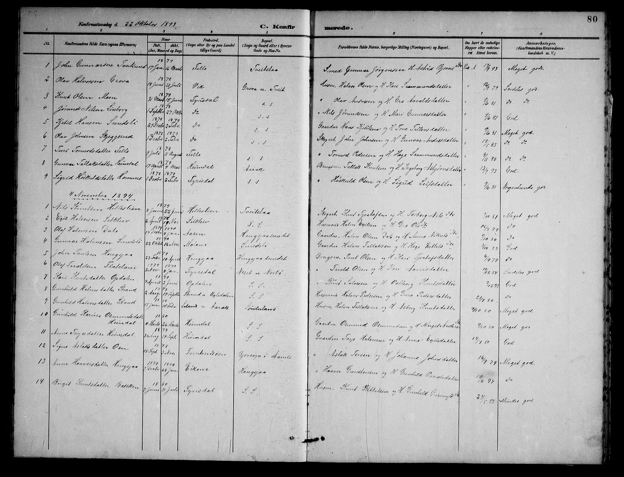 Nissedal kirkebøker, AV/SAKO-A-288/G/Gb/L0003: Parish register (copy) no. II 3, 1893-1928, p. 80