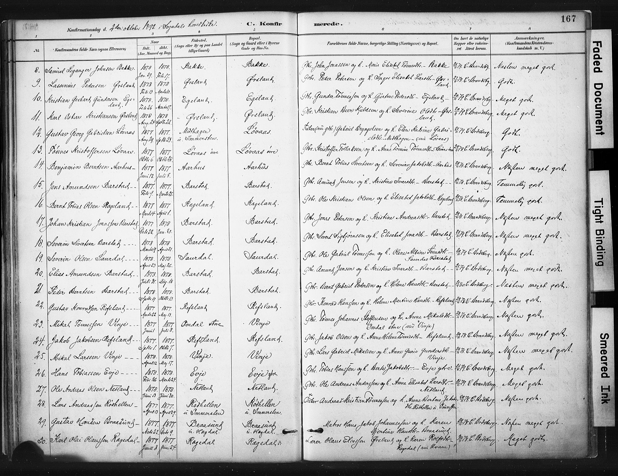Sokndal sokneprestkontor, SAST/A-101808: Parish register (official) no. A 11.1, 1887-1905, p. 167