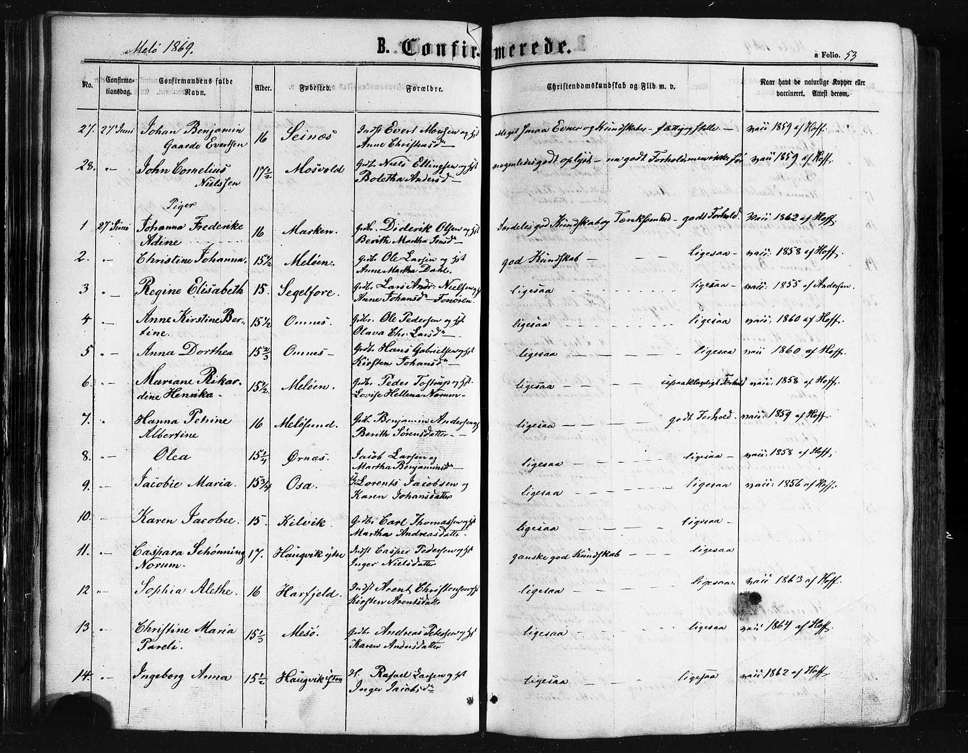 Ministerialprotokoller, klokkerbøker og fødselsregistre - Nordland, AV/SAT-A-1459/841/L0607: Parish register (official) no. 841A11 /2, 1863-1877, p. 53