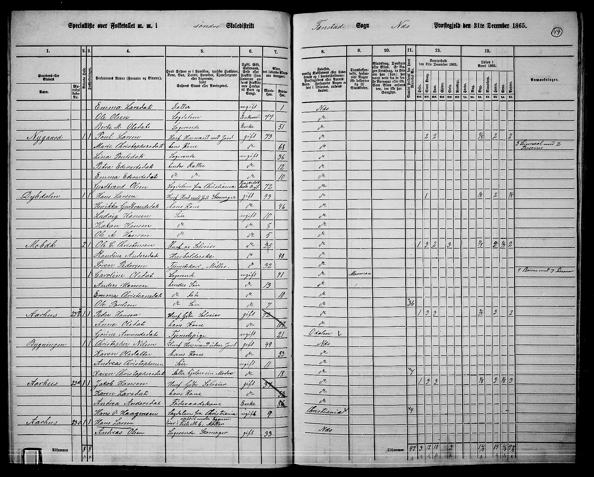 RA, 1865 census for Nes, 1865, p. 46