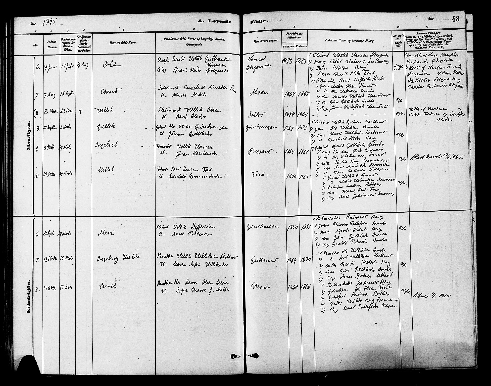 Flesberg kirkebøker, AV/SAKO-A-18/F/Fb/L0001: Parish register (official) no. II 1, 1879-1907, p. 43