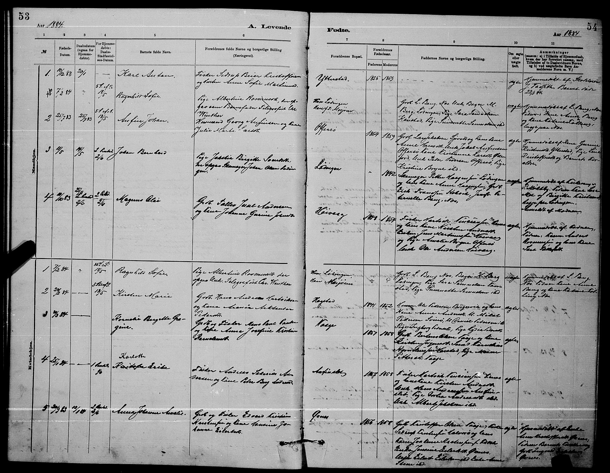 Ministerialprotokoller, klokkerbøker og fødselsregistre - Nordland, AV/SAT-A-1459/872/L1047: Parish register (copy) no. 872C03, 1880-1897, p. 53-54