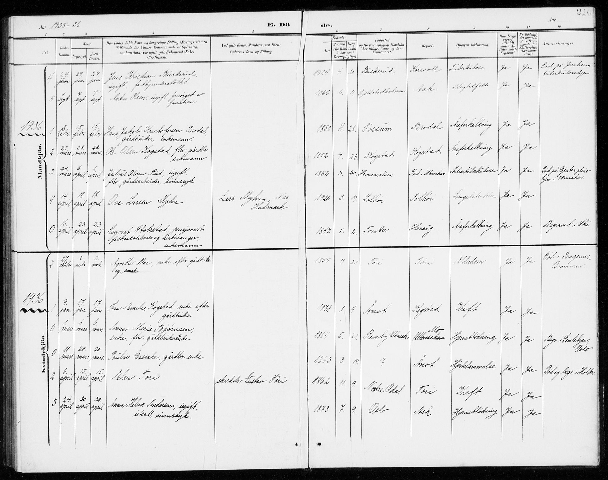 Gjerdrum prestekontor Kirkebøker, SAO/A-10412b/G/Gb/L0001: Parish register (copy) no. II 1, 1901-1944, p. 210