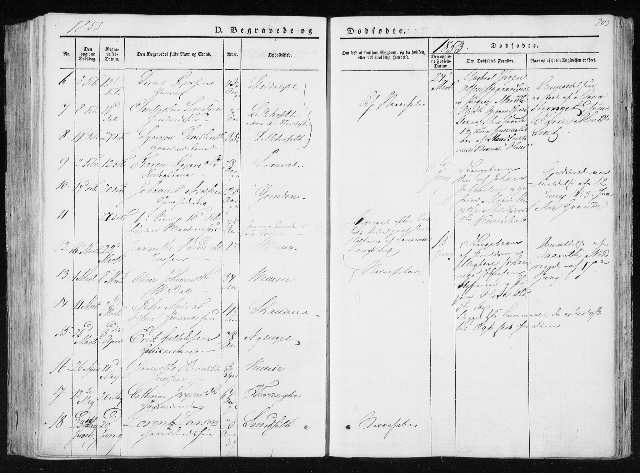 Ministerialprotokoller, klokkerbøker og fødselsregistre - Nord-Trøndelag, AV/SAT-A-1458/733/L0323: Parish register (official) no. 733A02, 1843-1870, p. 203