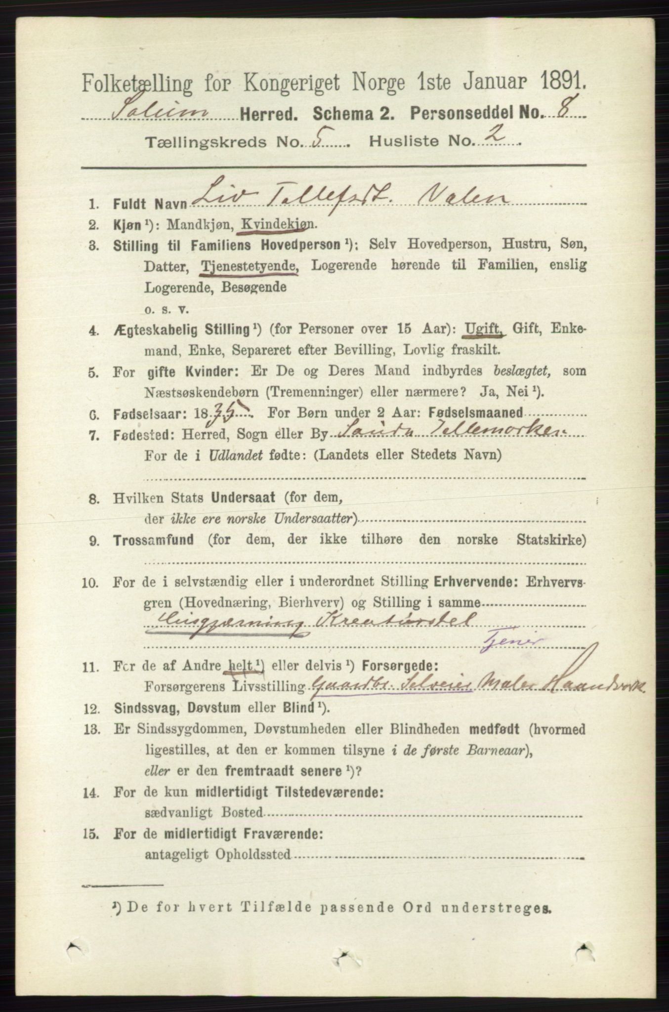 RA, 1891 census for 0818 Solum, 1891, p. 846