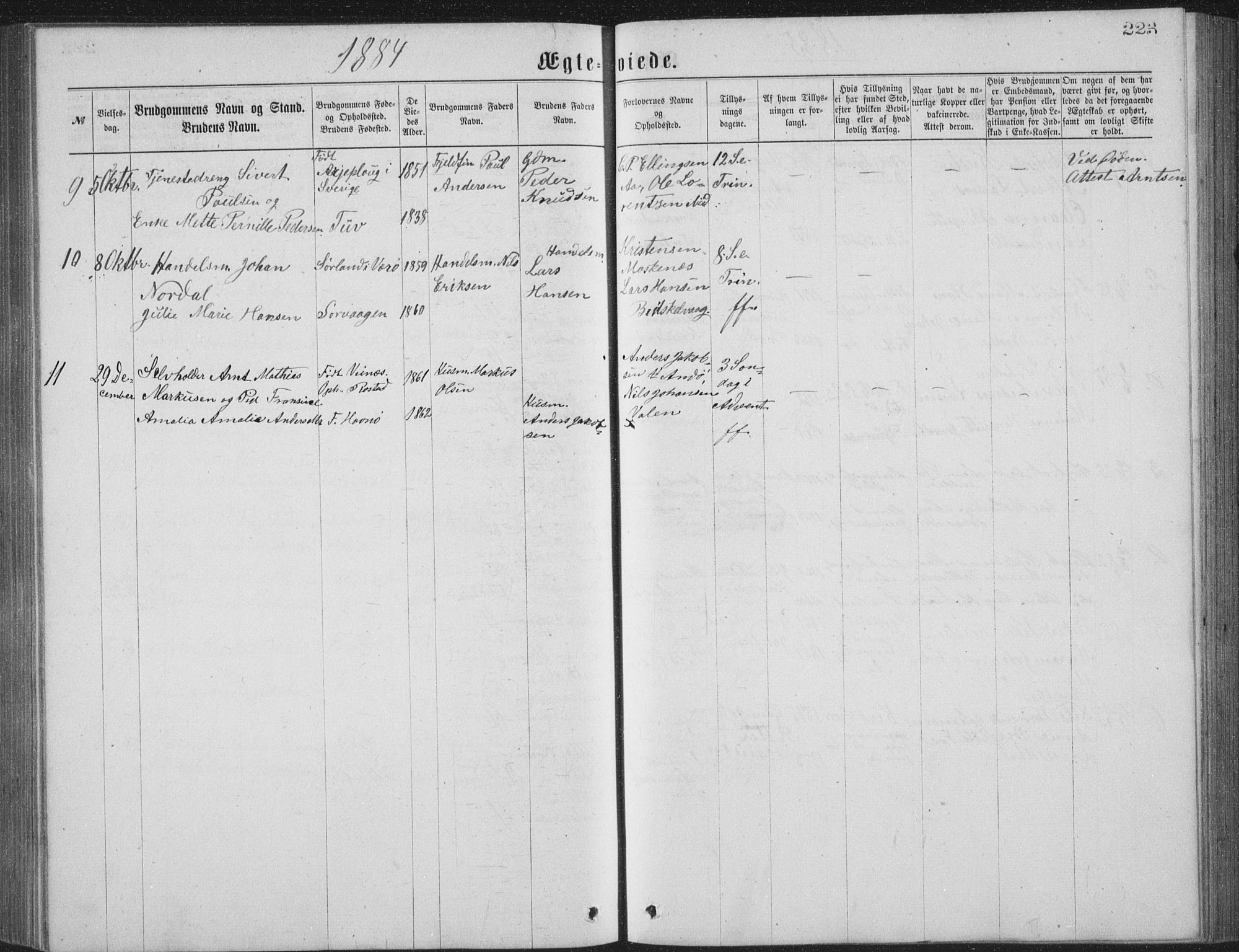 Ministerialprotokoller, klokkerbøker og fødselsregistre - Nordland, AV/SAT-A-1459/886/L1225: Parish register (copy) no. 886C02, 1874-1896, p. 223