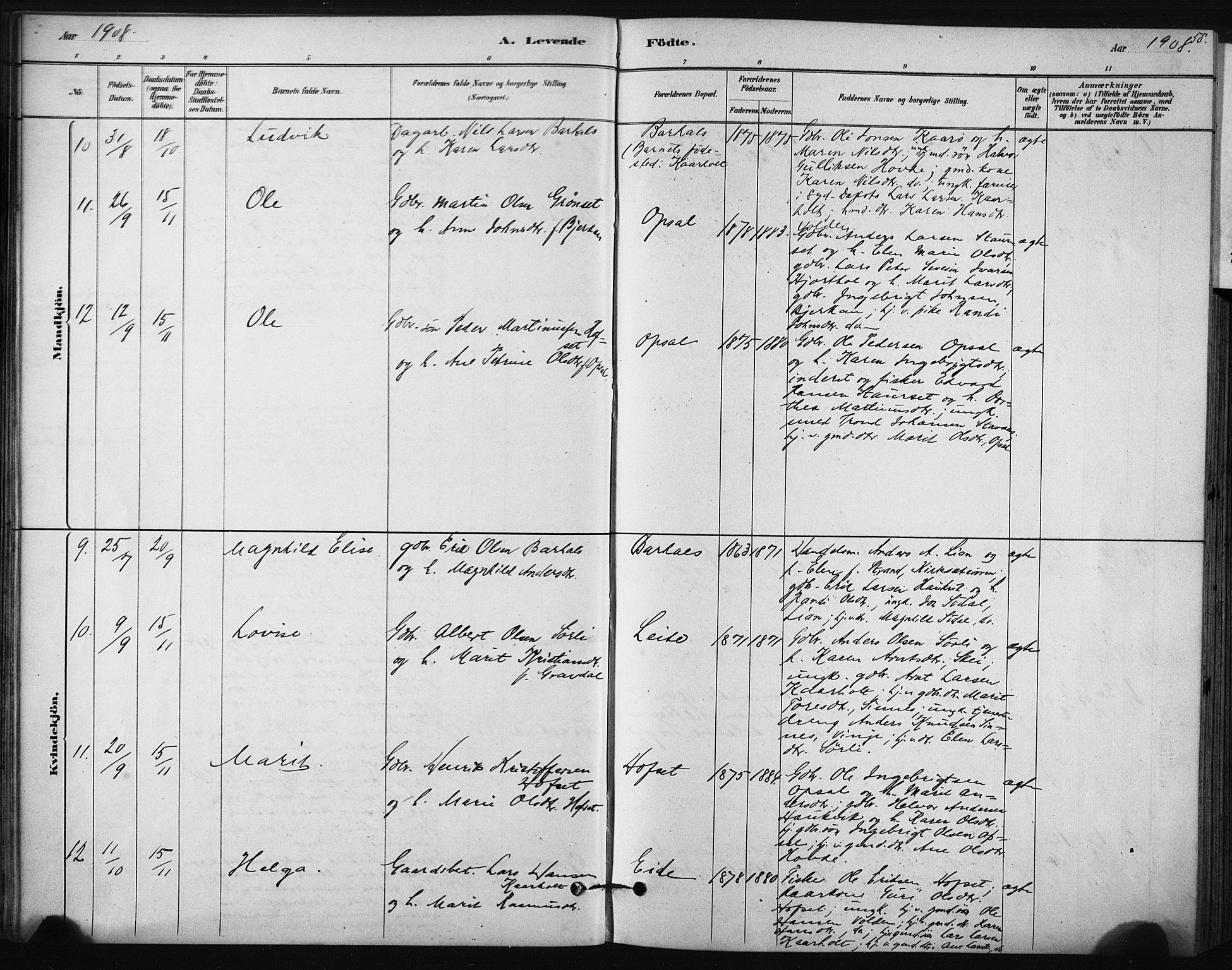 Ministerialprotokoller, klokkerbøker og fødselsregistre - Sør-Trøndelag, SAT/A-1456/631/L0512: Parish register (official) no. 631A01, 1879-1912, p. 58