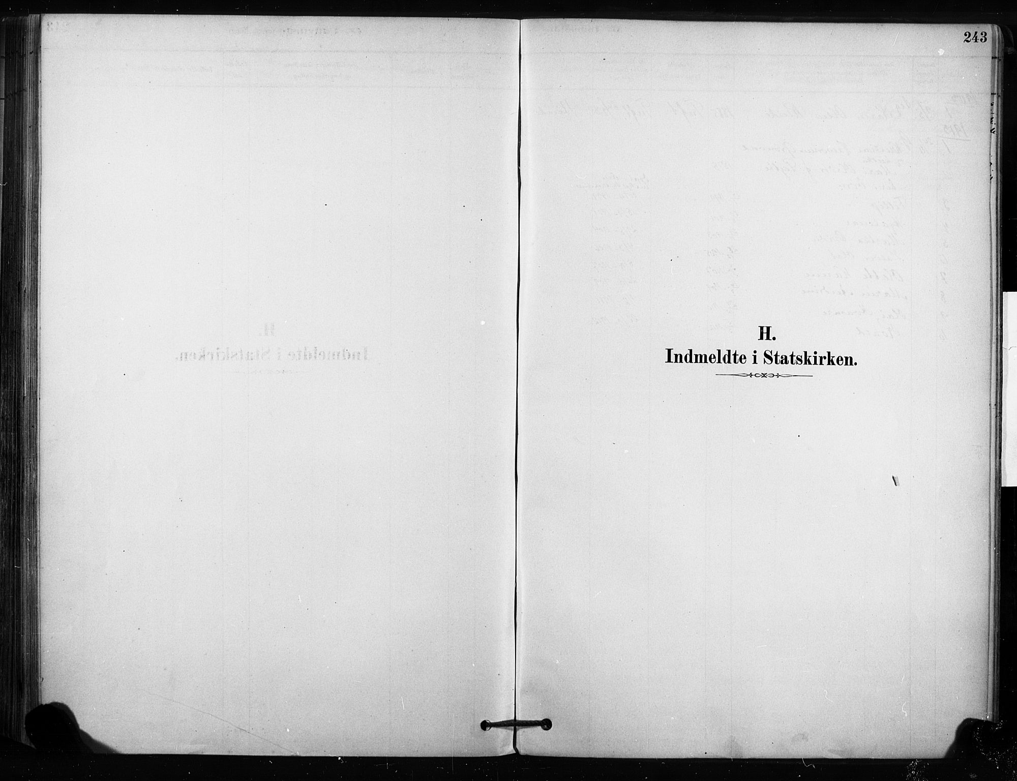 Sandsvær kirkebøker, SAKO/A-244/F/Fc/L0001: Parish register (official) no. III 1, 1878-1923, p. 243